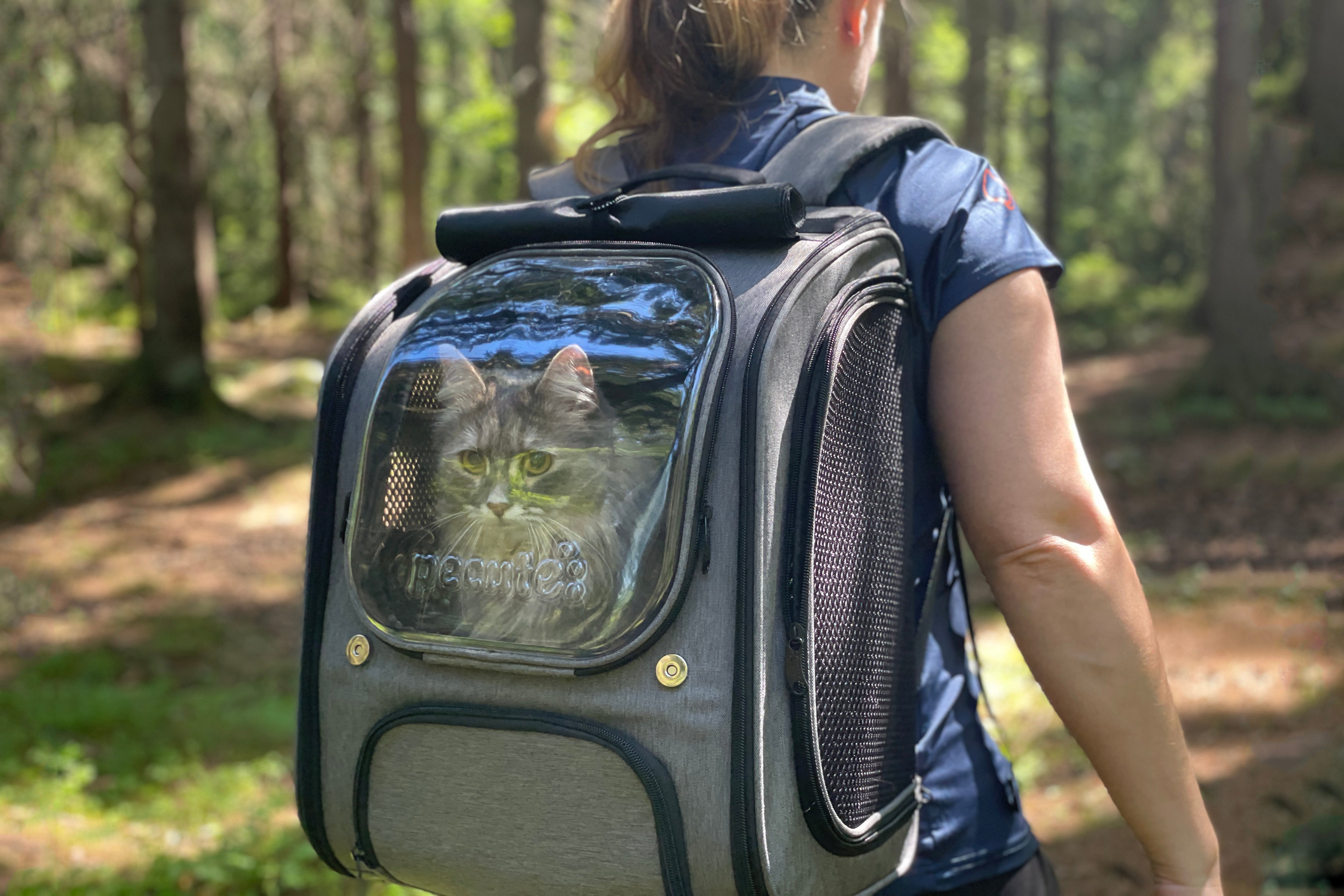 Is Your Cat Backpack Too Hot and Cramped? A Better Pet Carrier Option