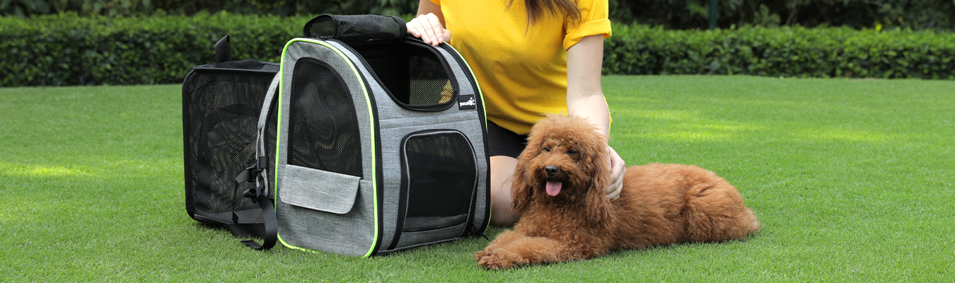 Pecute Pet Backpack