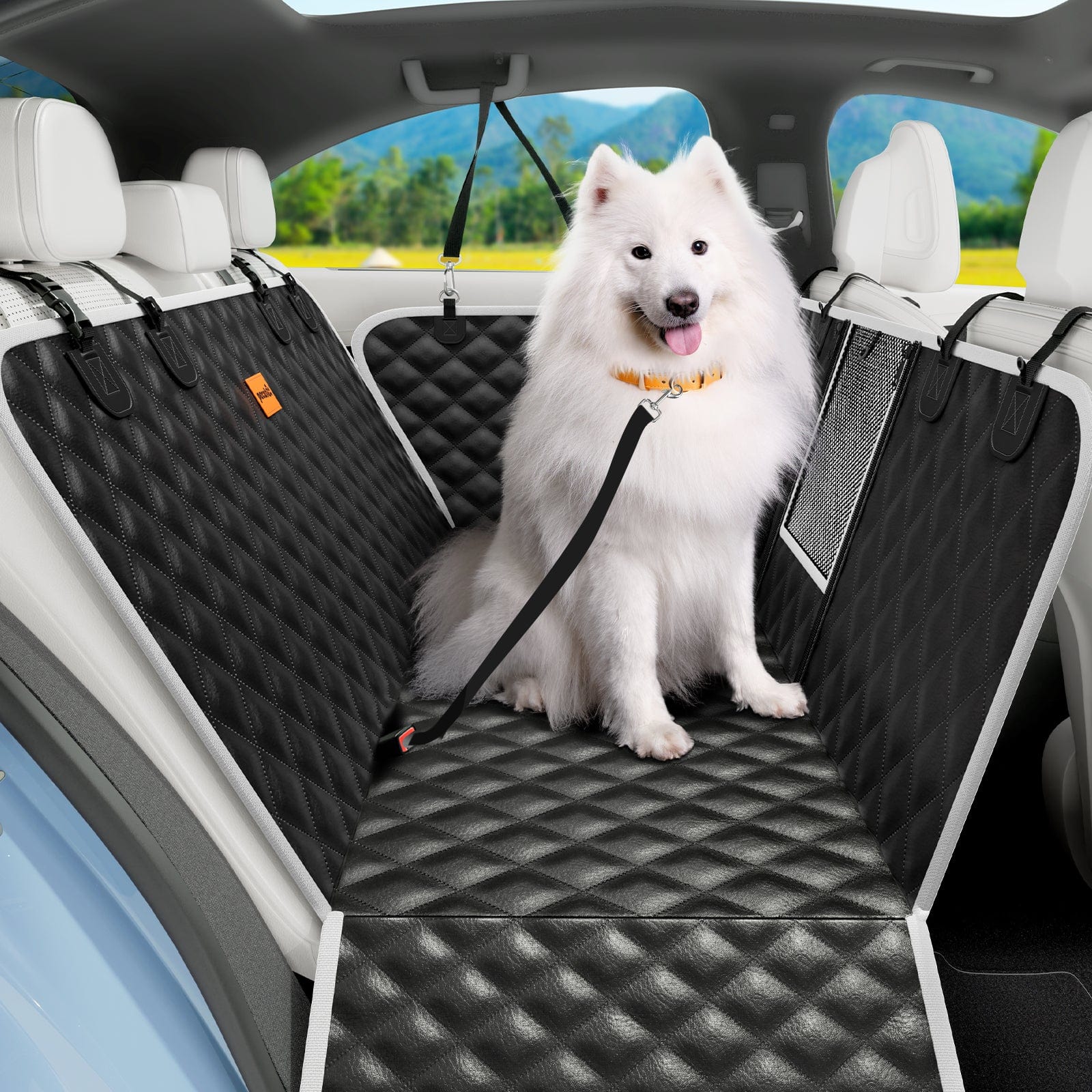 Pecute Tapis de voiture en tissu à gratter pour chat - Motif diamant noir - Motif litchi