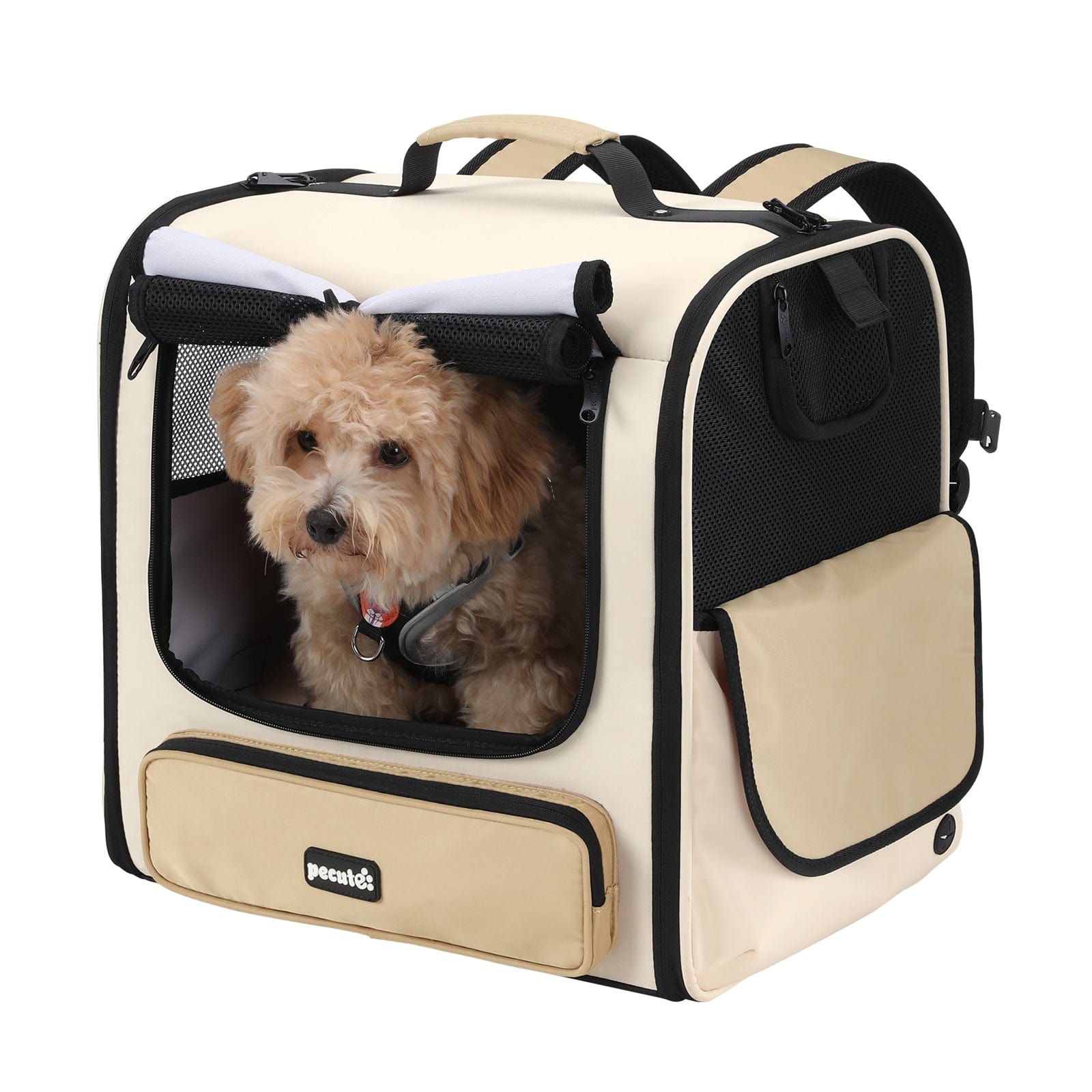 Pecute Hardtop Widened Pet Carrier Backpack Dog Backpack