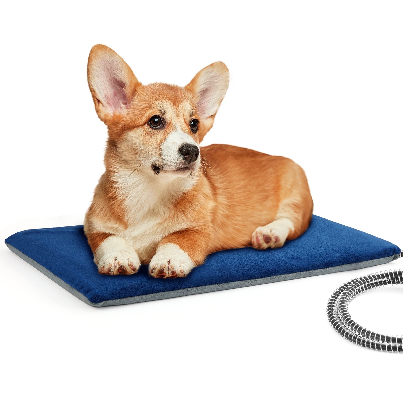 Cuscinetto termico per animali domestici Pecute Riscaldamento a temperatura costante Sicurezza elettrica