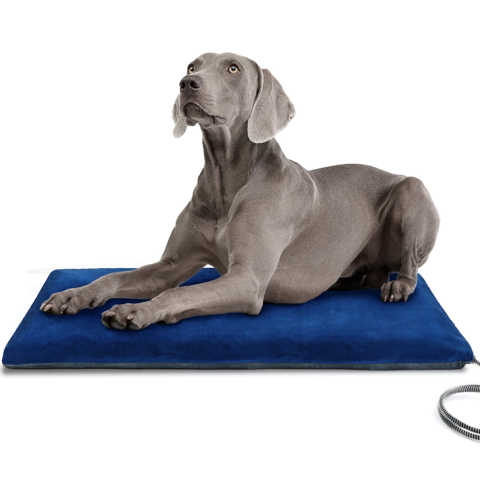 Cuscinetto termico per animali domestici Pecute Riscaldamento a temperatura costante Sicurezza elettrica