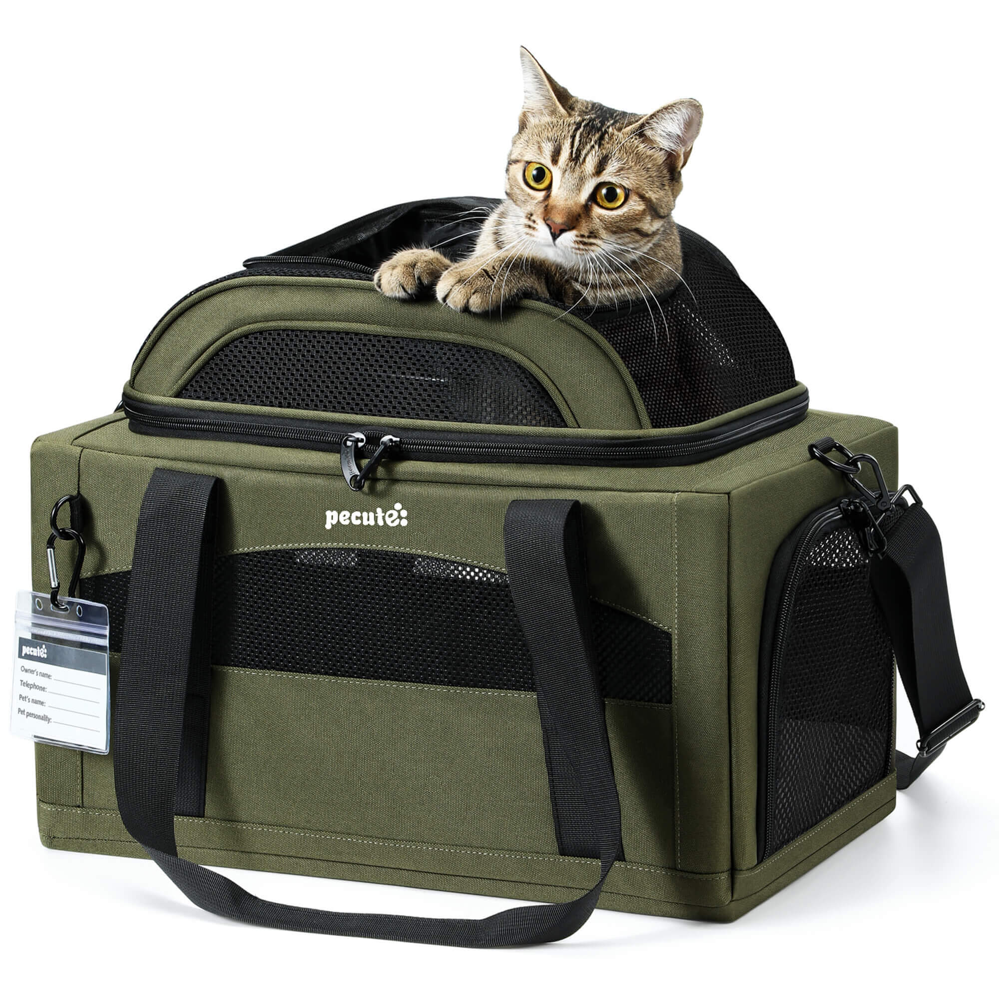 Pecute Airline Approved Expandable Pet Carrier Dog Cat Carrier with Leakproof Pee Pad