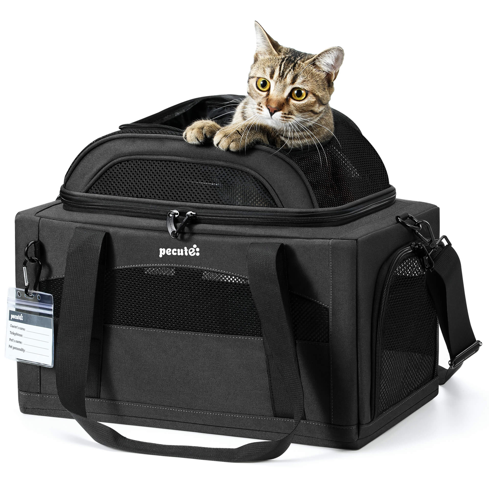 Pecute Airline Approved Expandable Pet Carrier Dog Cat Carrier with Leakproof Pee Pad