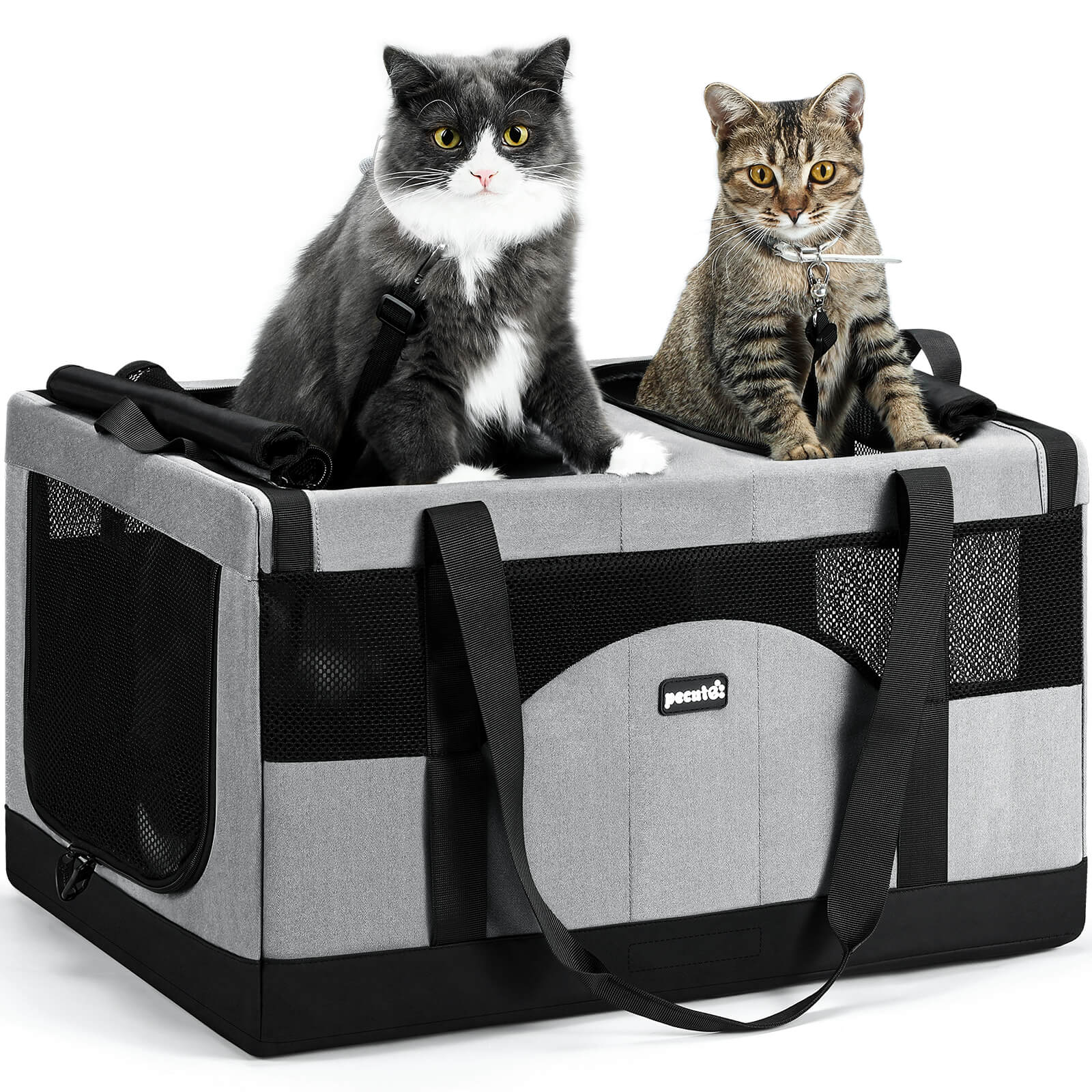 Pecute Cat Dual-Compartment Frame Handbag