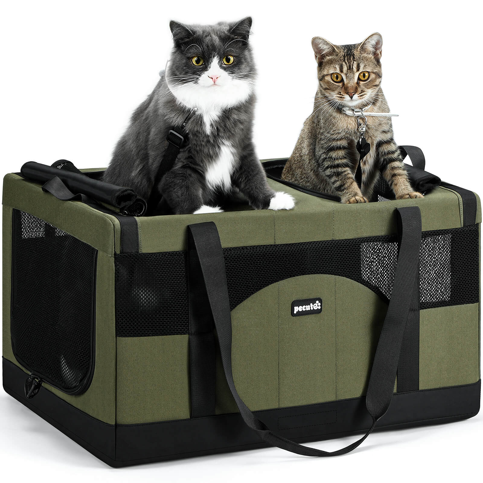 Pecute Cat Dual-Compartment Frame Handbag