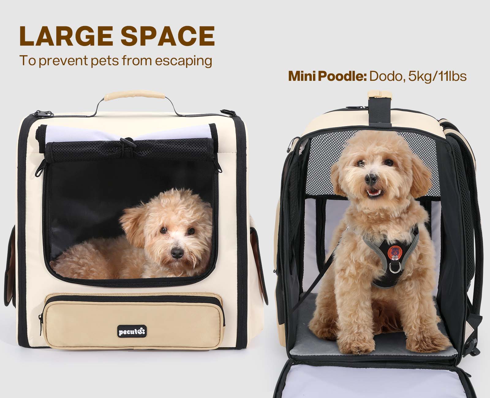 Pecute Hardtop Widened Pet Carrier Backpack Dog Backpack