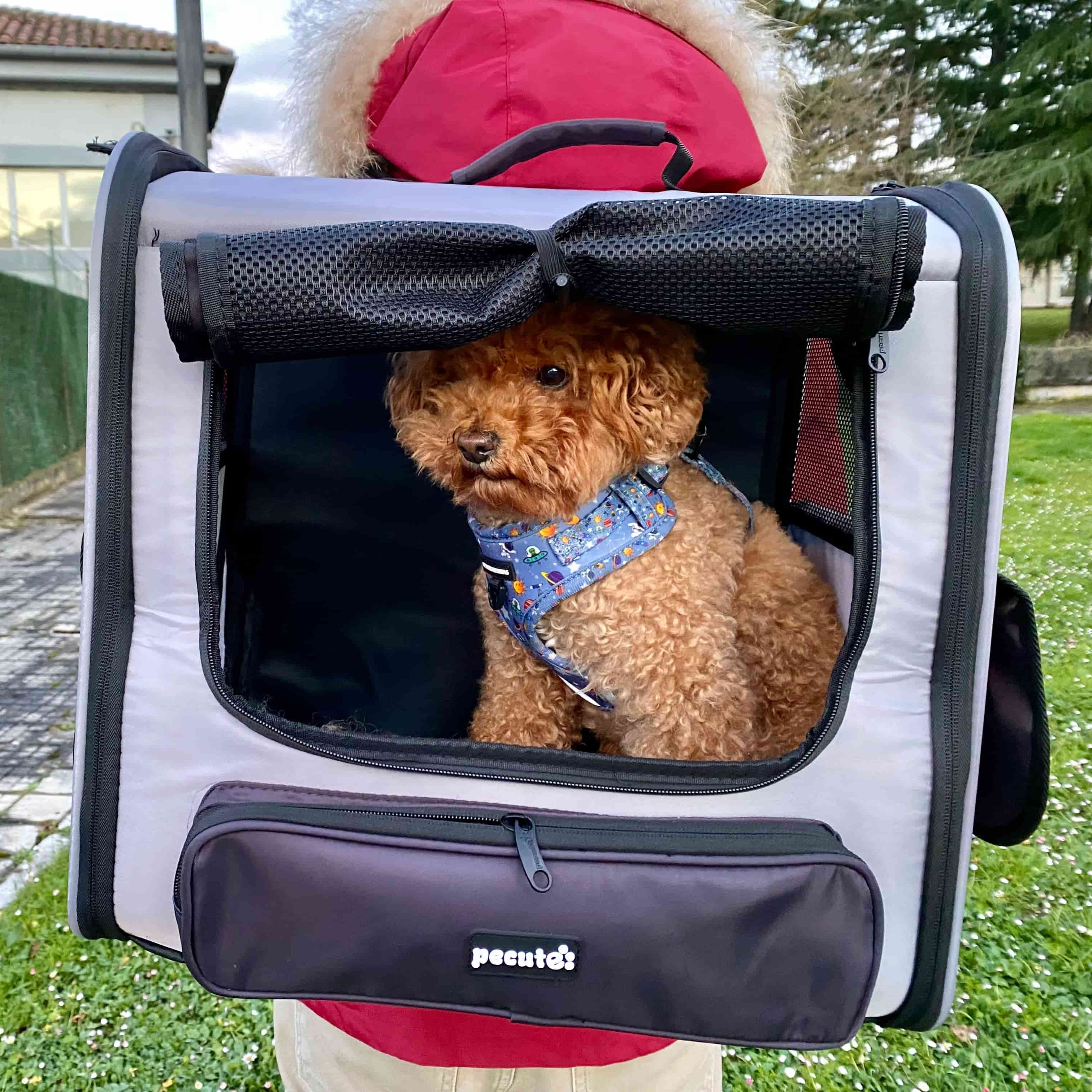 Pecute Hardtop Widened Pet Carrier Backpack Dog Backpack