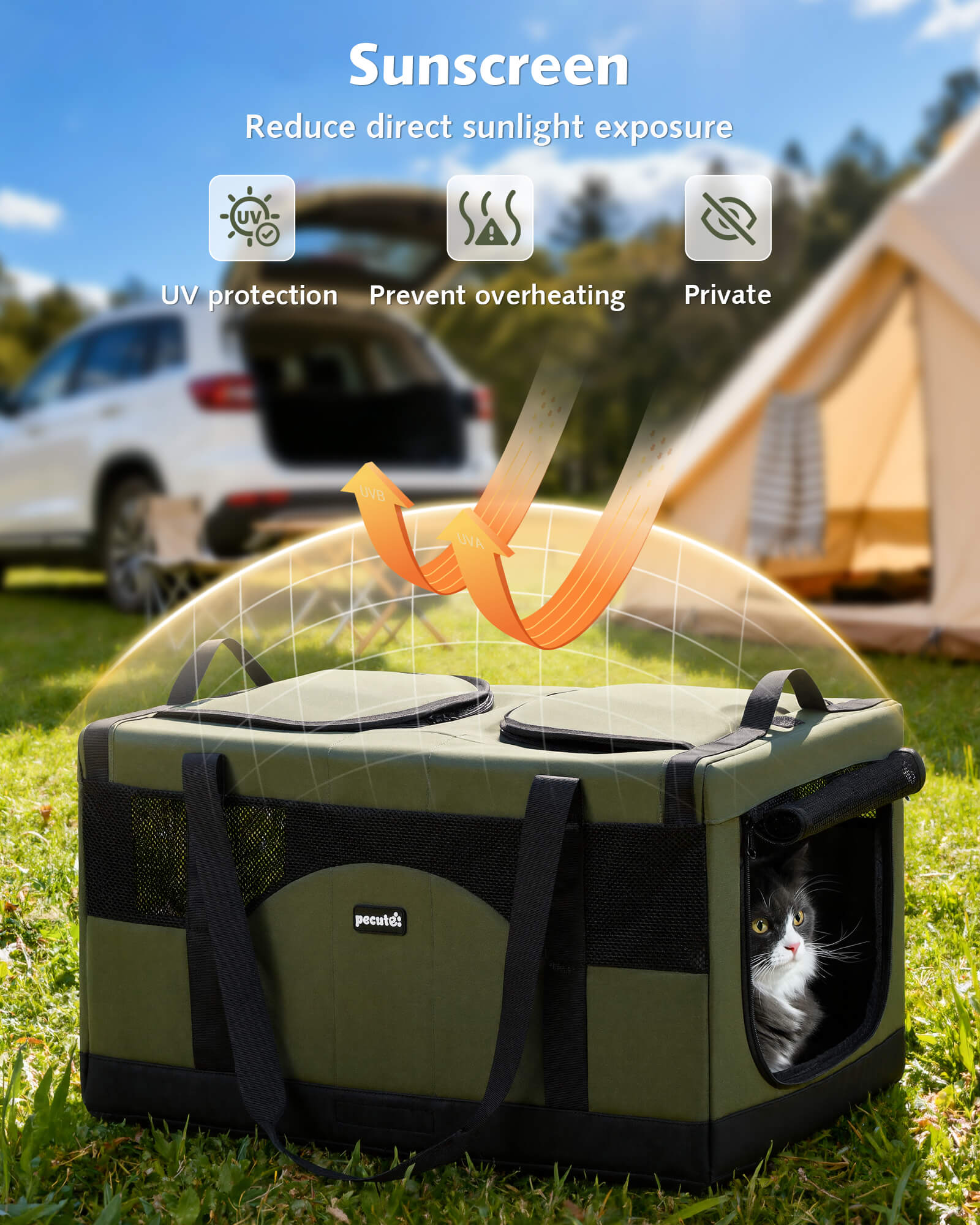 Pecute Cat Dual-Compartment Frame Handbag