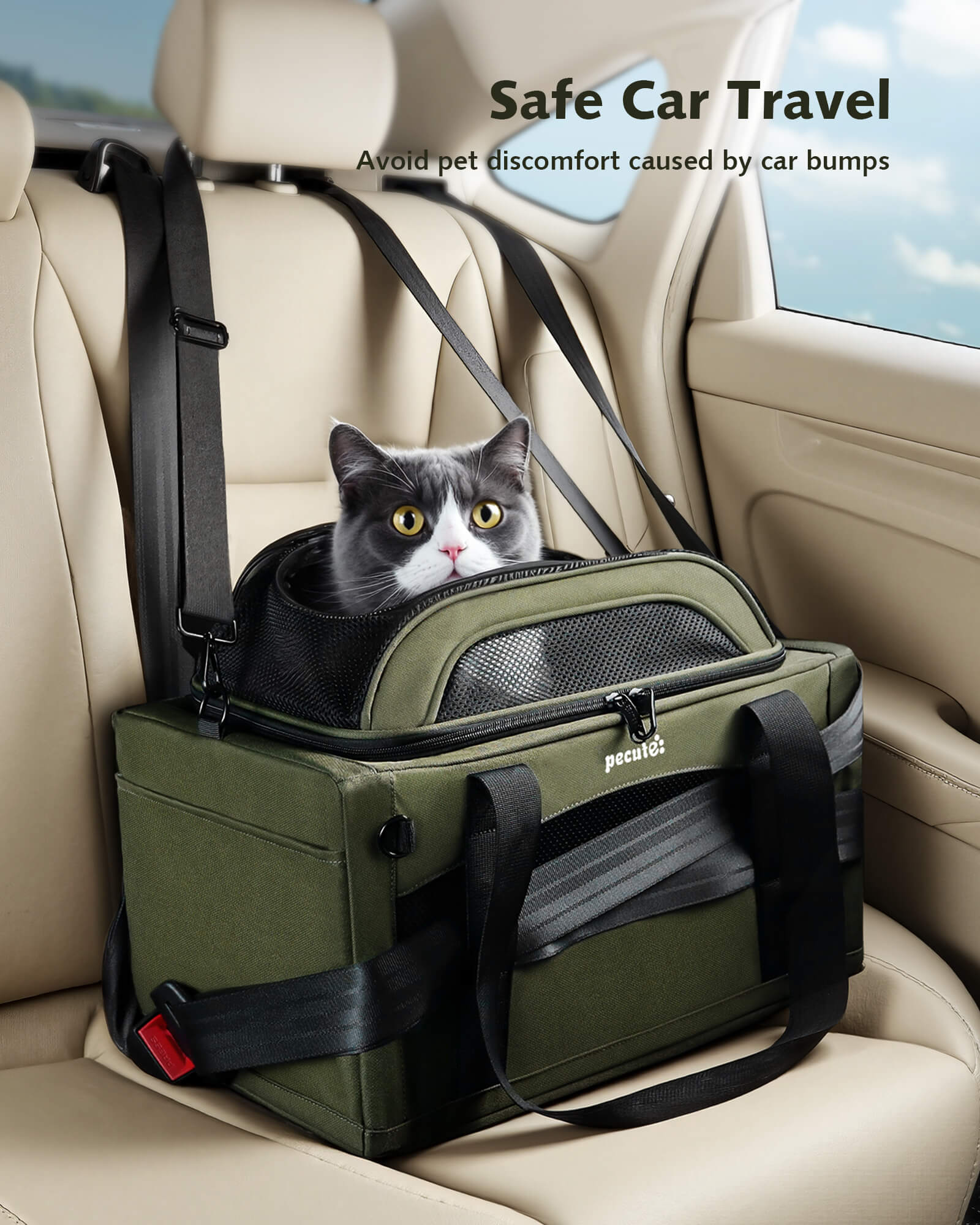 Pecute Airline Approved Expandable Pet Carrier Dog Cat Carrier with Leakproof Pee Pad