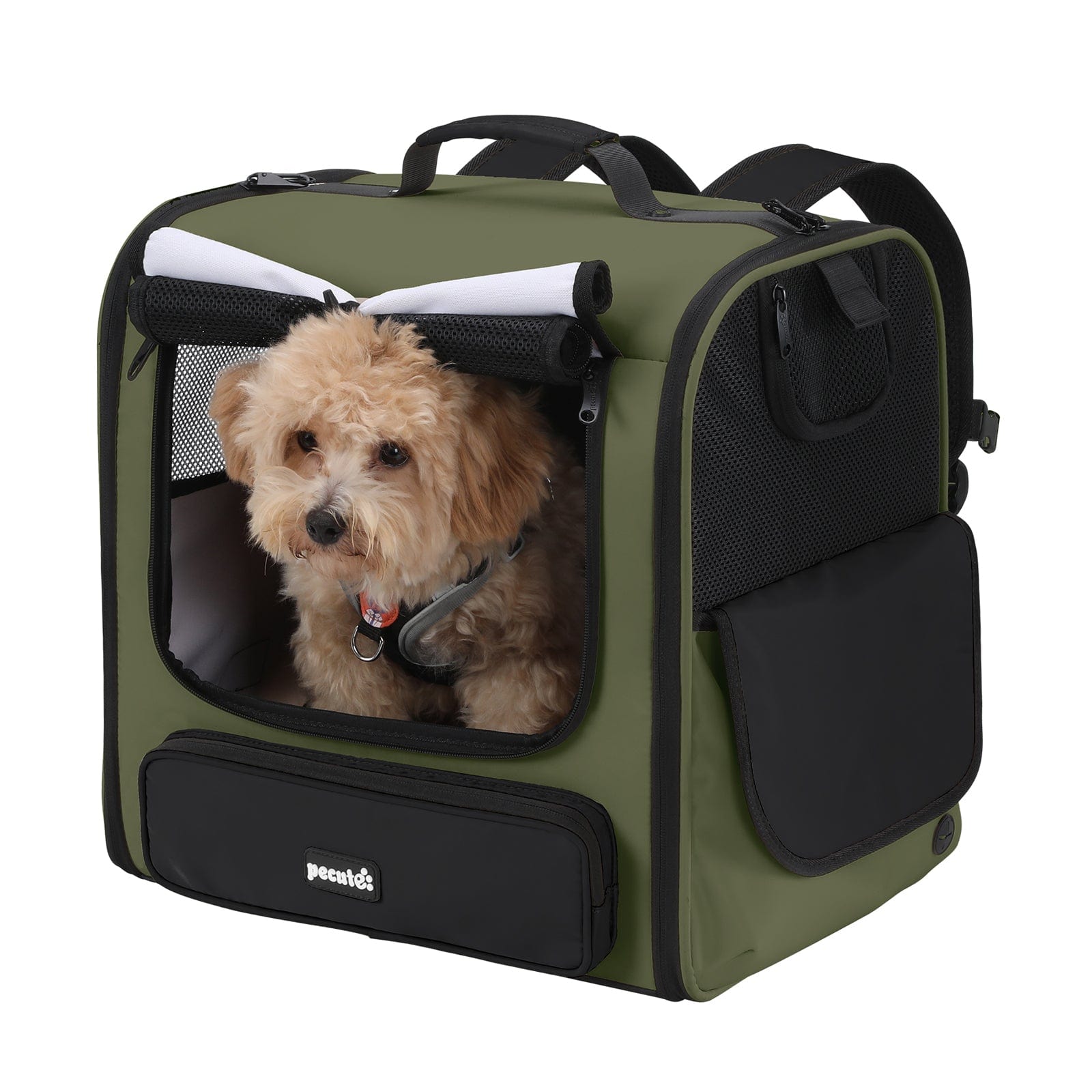 Pecute Hardtop Widened Pet Carrier Backpack Dog Backpack