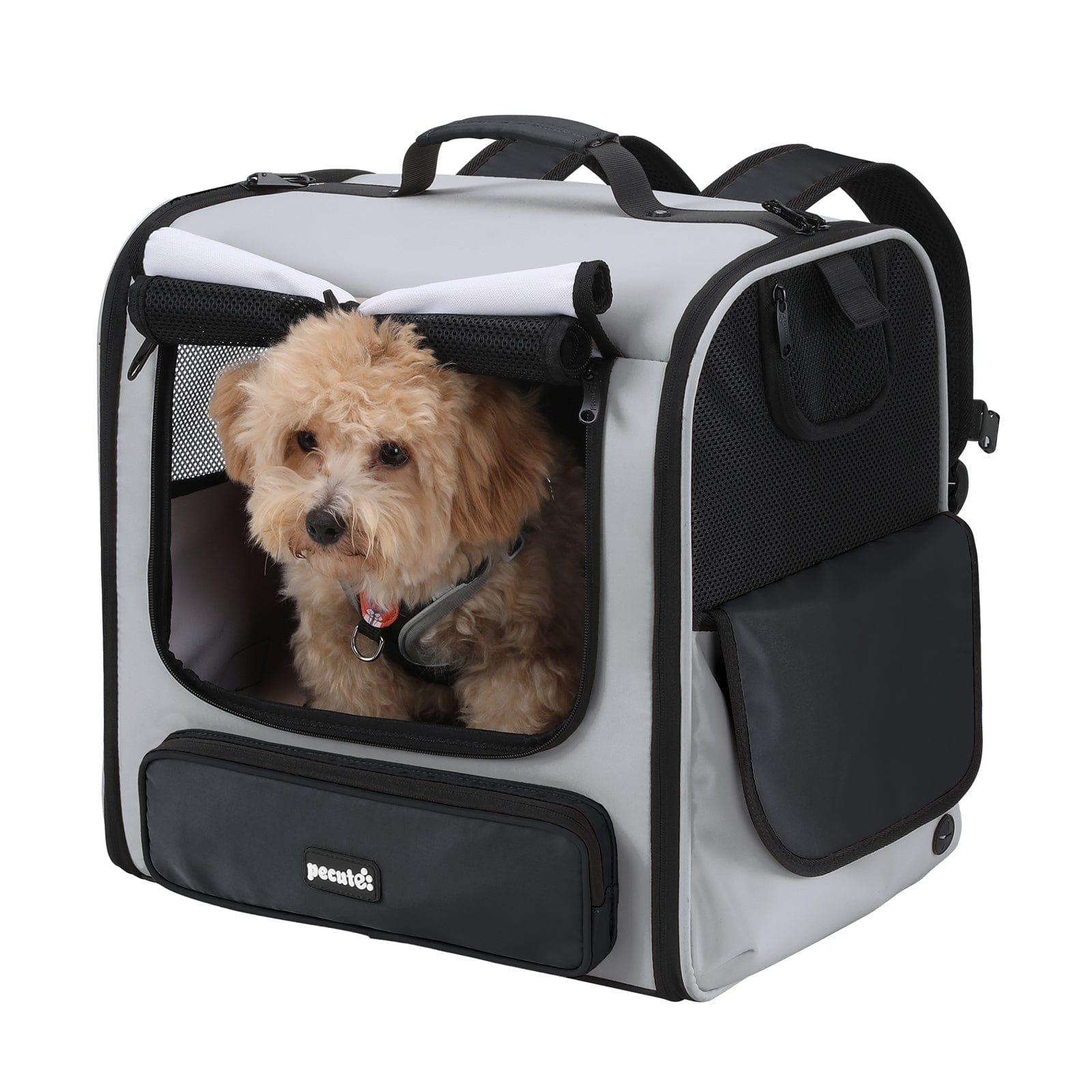 Pecute Hardtop Widened Pet Carrier Backpack Dog Backpack