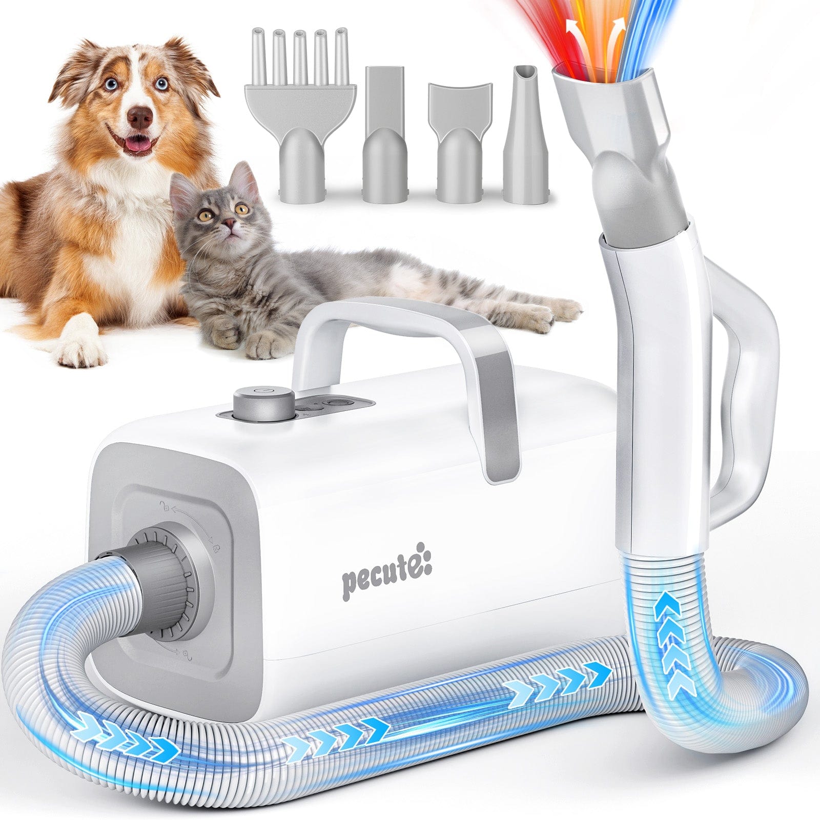 Pecute Dog Dryer with Cool-Warm-Hot Cycle Mode