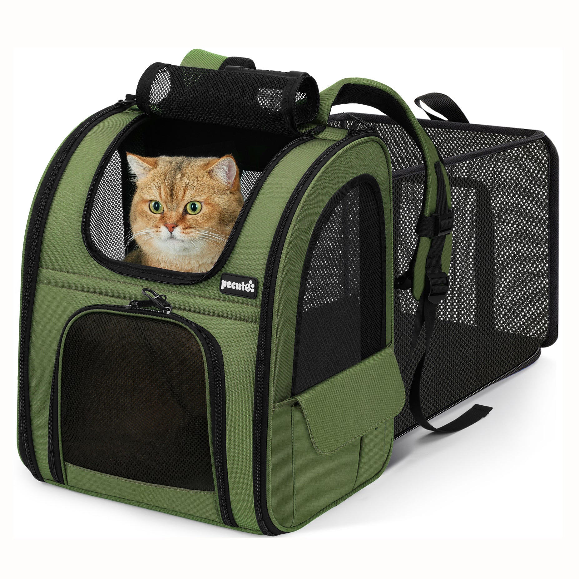 Pecute Expandable Breathable Mesh Cat Backpack Carrier (Green)