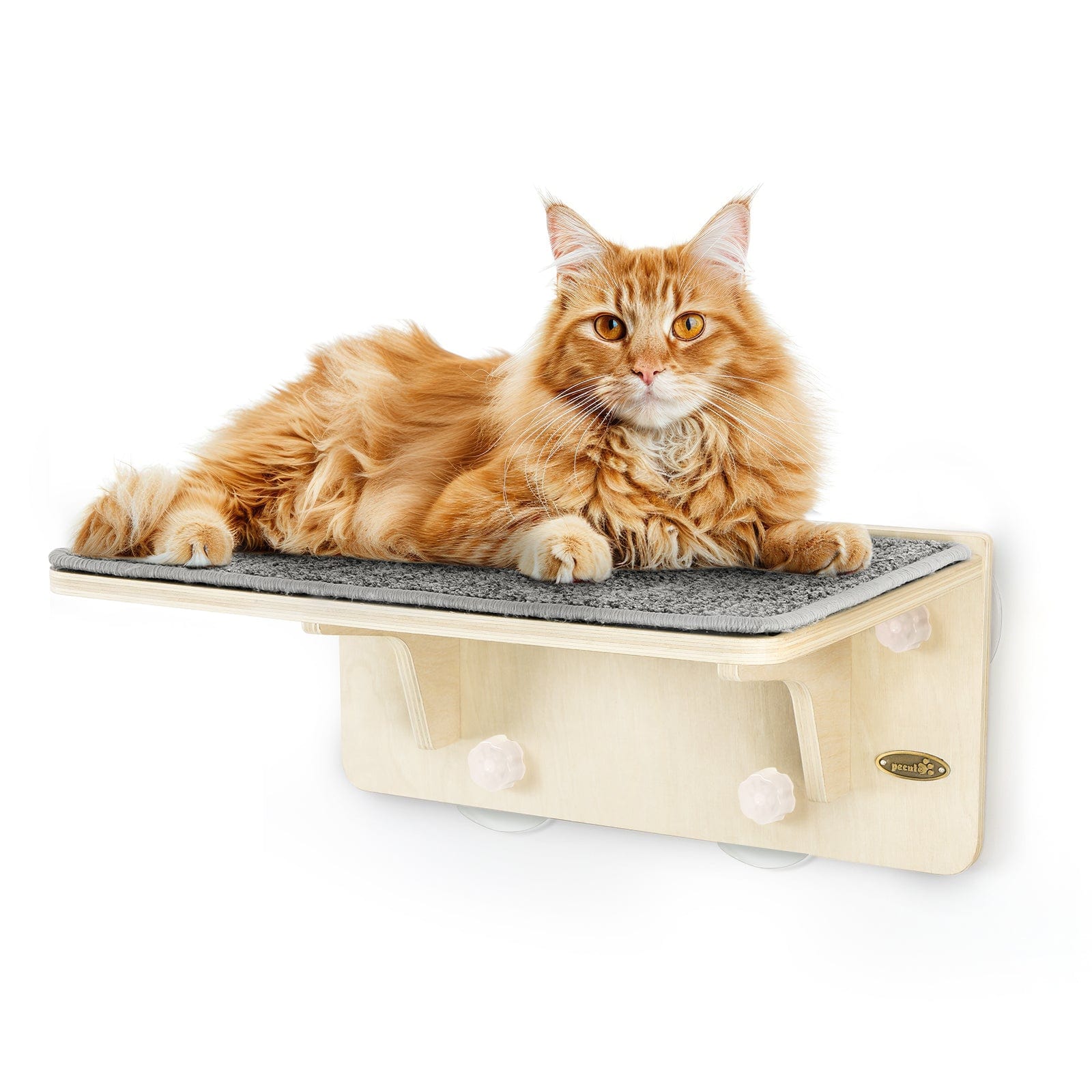 Pecute Wood Wall-Mounted Cat Climbing Shelf