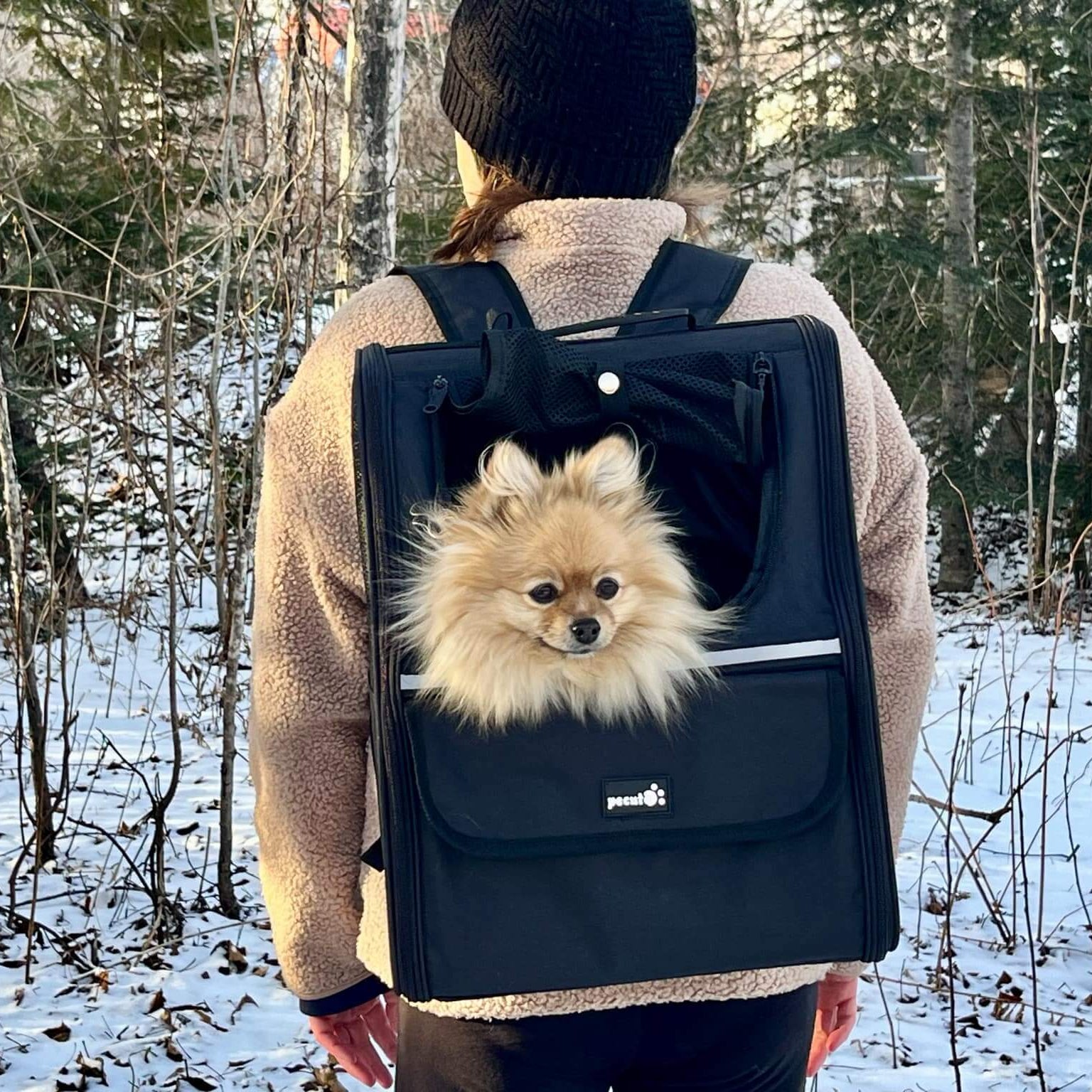 Pecute Trapezoidal Cat Carrier Pet Backpack