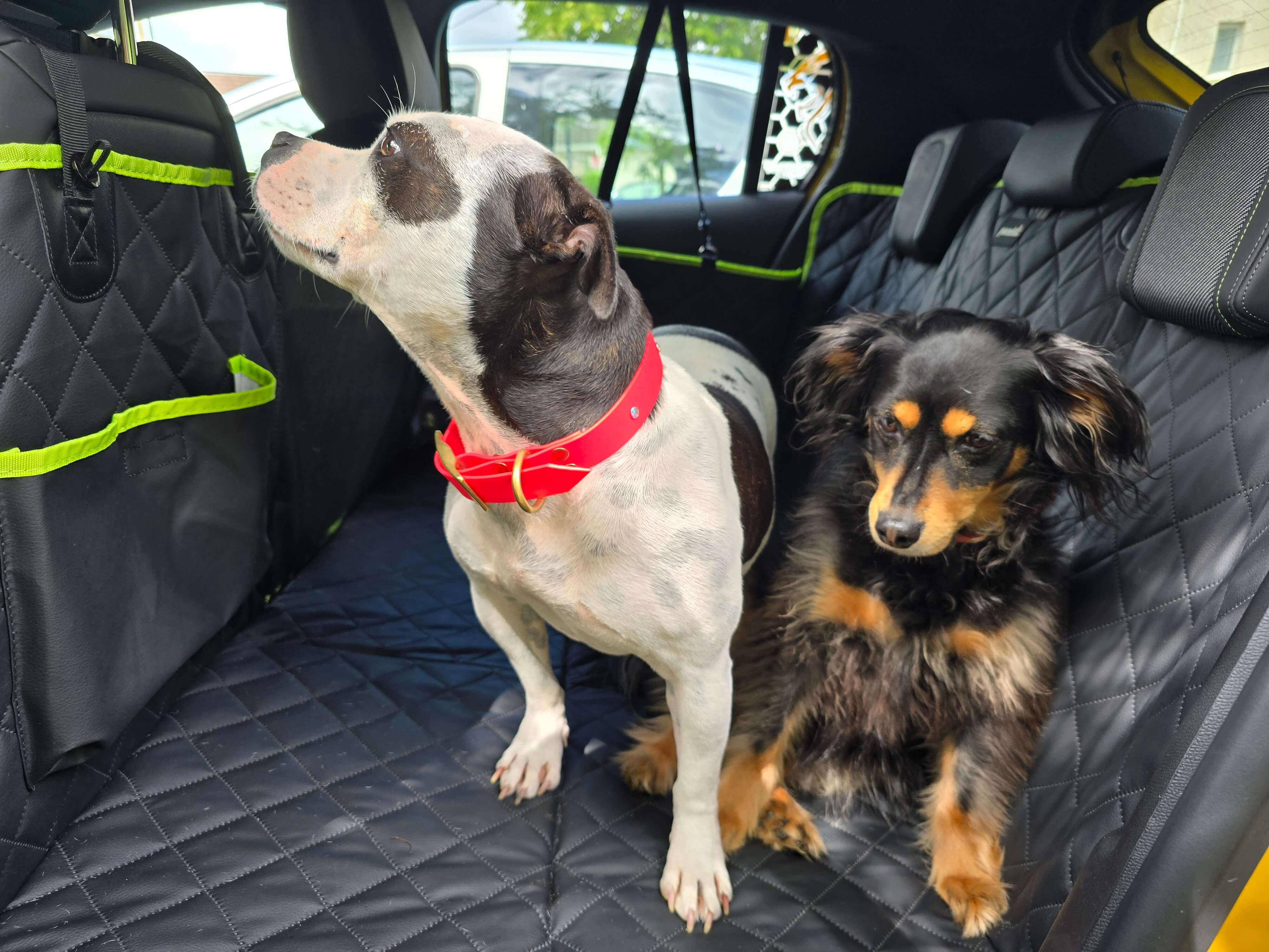 Pecute 2025 Upgrade Dog Car Seat Cover&Extender&Barriers 3 in 1 Up to 150kg