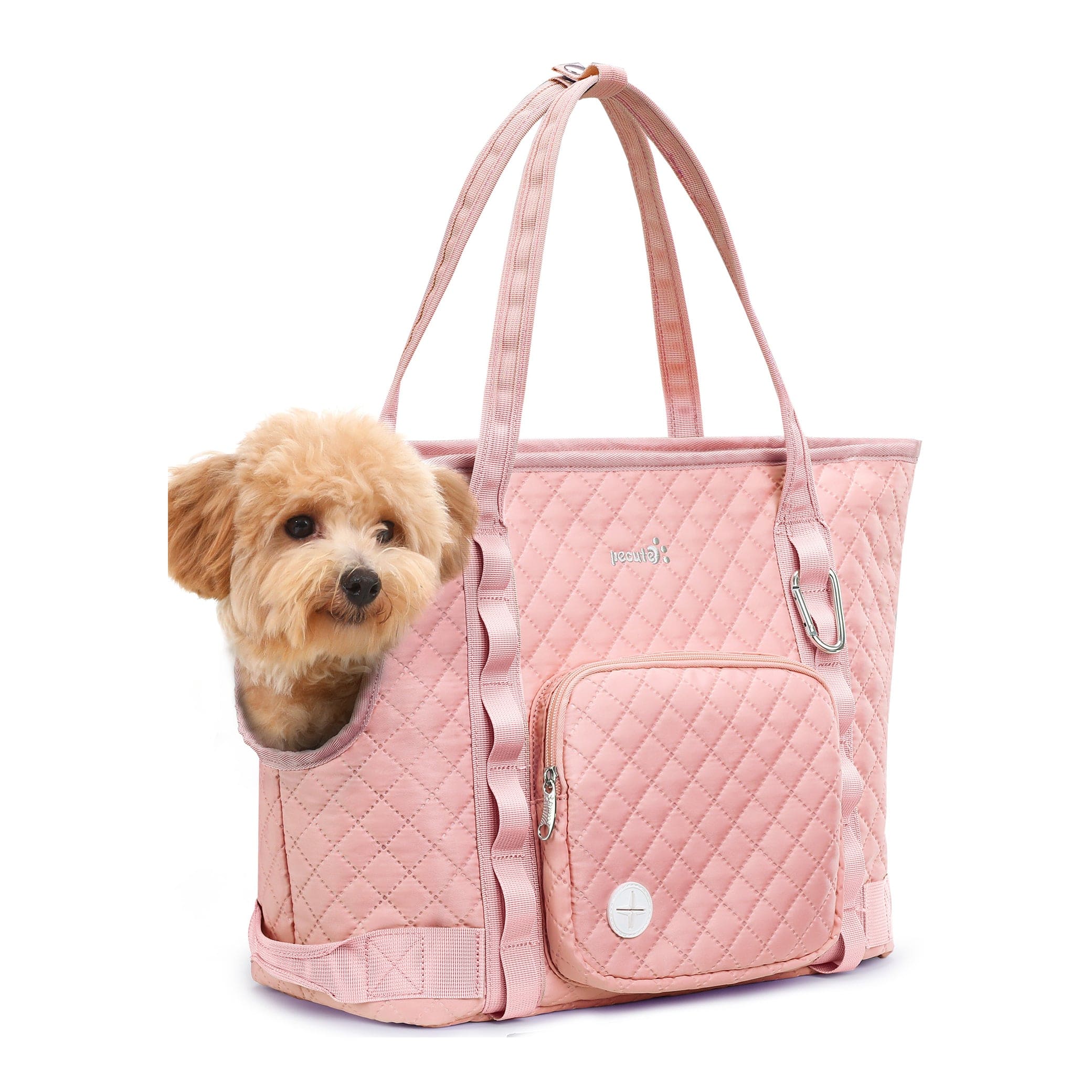 Personali di cani per cani per cani da cani per cani di piccola taglia