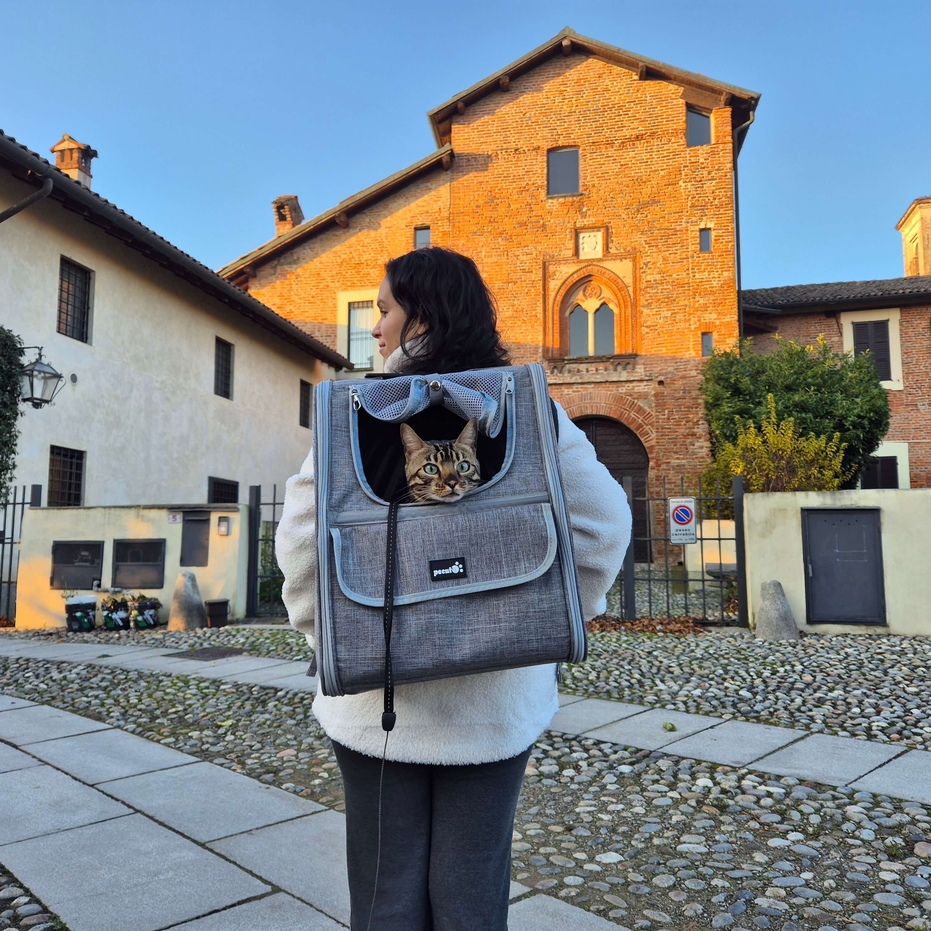 Pecute Trapezoidal Cat Carrier Pet Backpack
