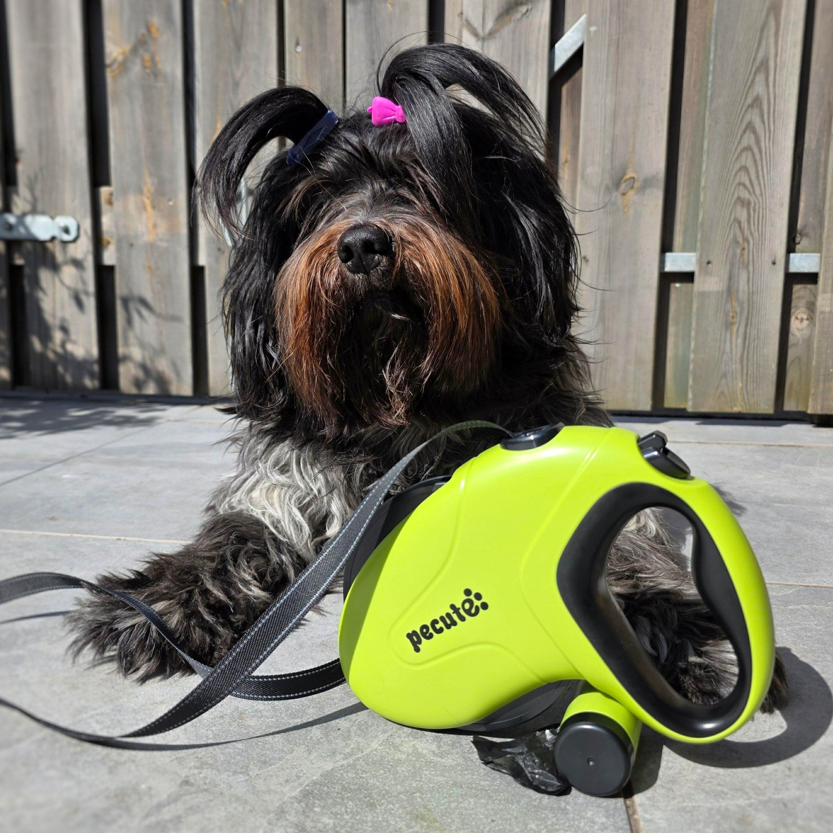 PEUTE 10m/32ft Laish pour chien rétractable avec des bandes réfléchissantes avec sac de merde