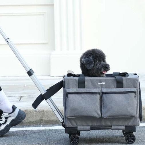 Borsa trolley Pecute con telaio integrato rimovibile