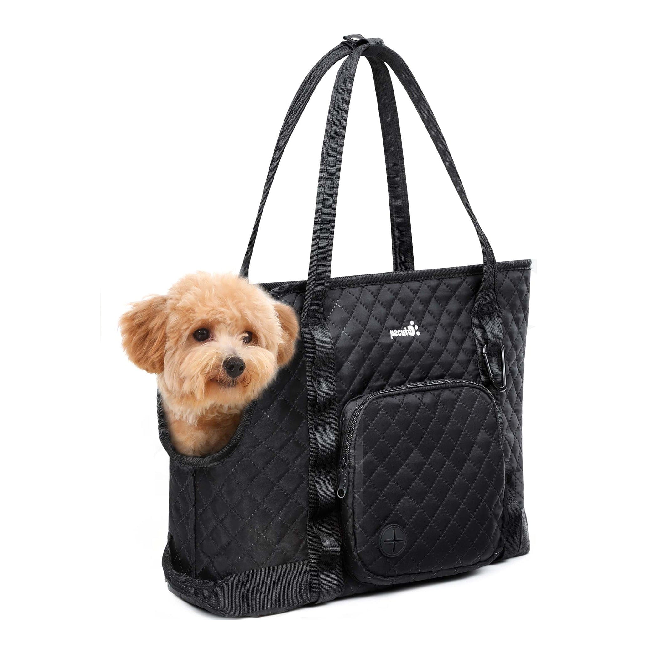 Carrier de bourse pour chiens pectaire léger pour les petits chiens