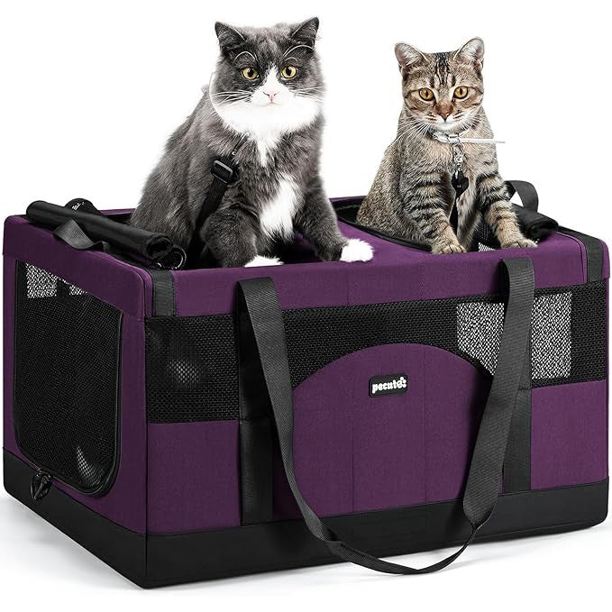 Pecute Cat Dual-Compartment Frame Handbag
