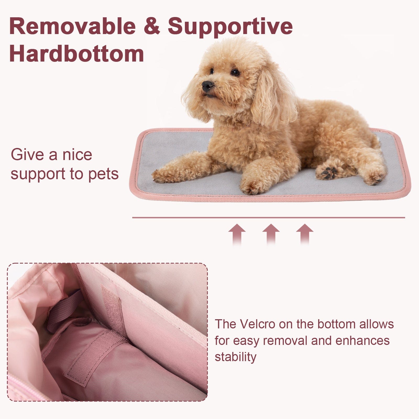 Carrier de bourse pour chiens pectaire léger pour les petits chiens