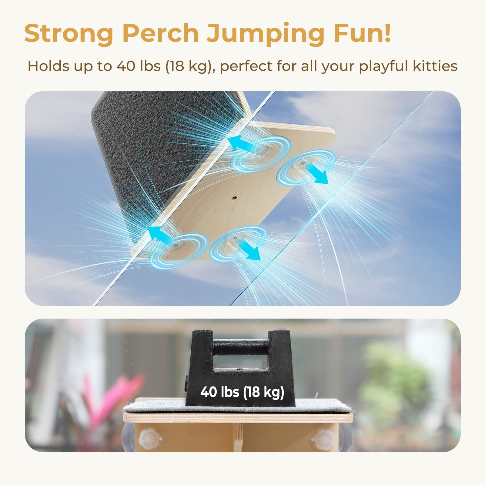 Pecute Wood Wall-Mounted Cat Climbing Shelf