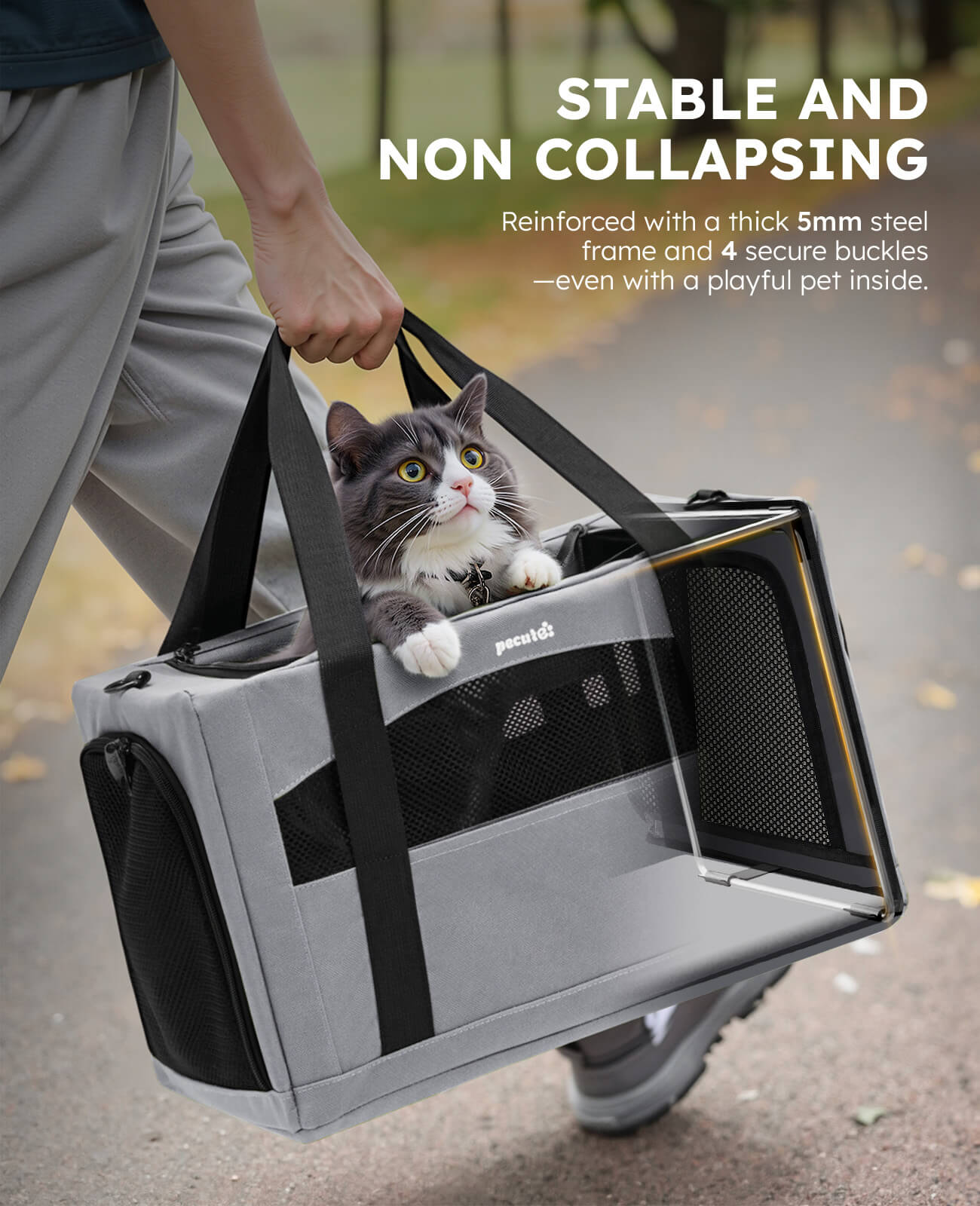 Pecute Cat Carrier Handbag Stable Breathable and Portable for Travel and Outing