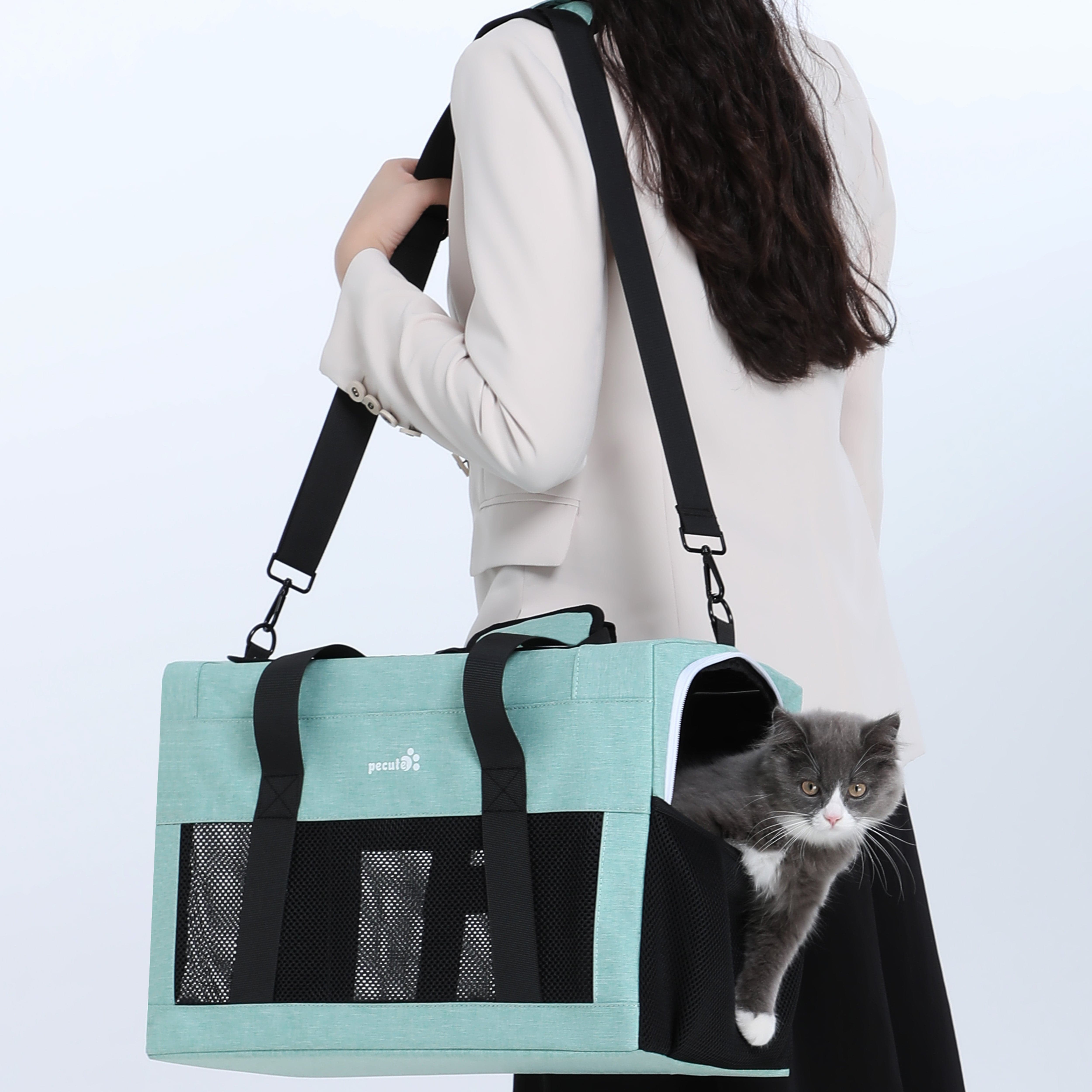 Borsa per trasportino per gatti Pecute approvata dalla compagnia aerea Telaio integrato extra stabile