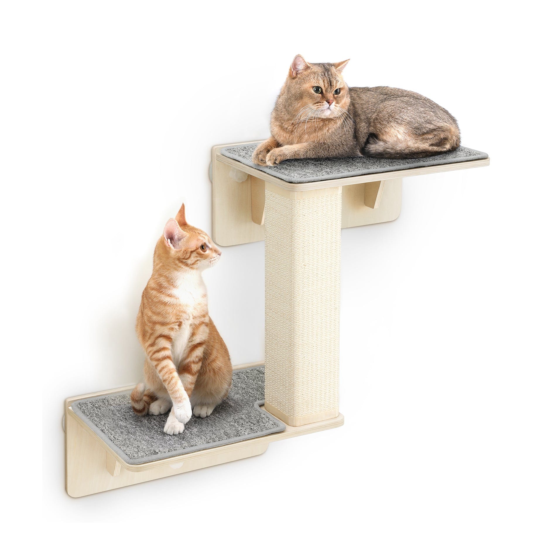 Pecute Double Cat Shelves with Cat Scratching Post for Wall Window with Solid Wood Frame