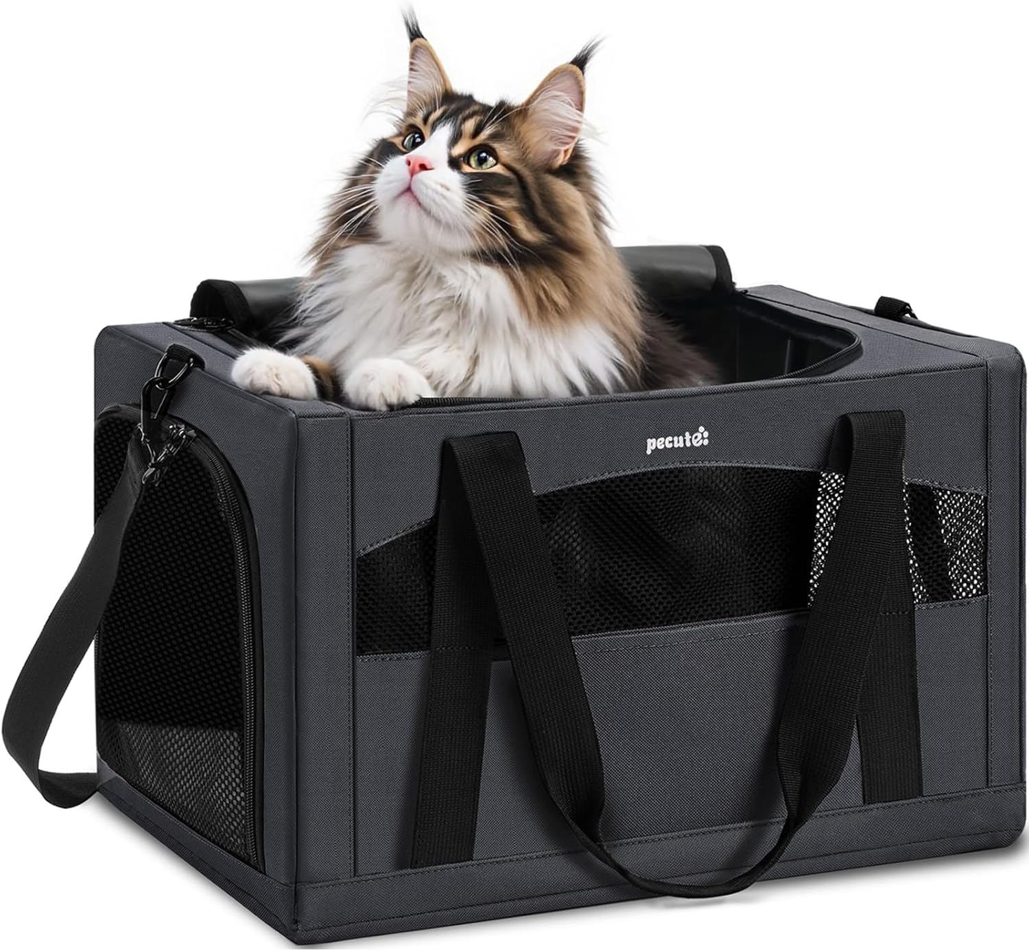 Pecute Cat Carrier Handbag Stable Breathable and Portable for Travel and Outing