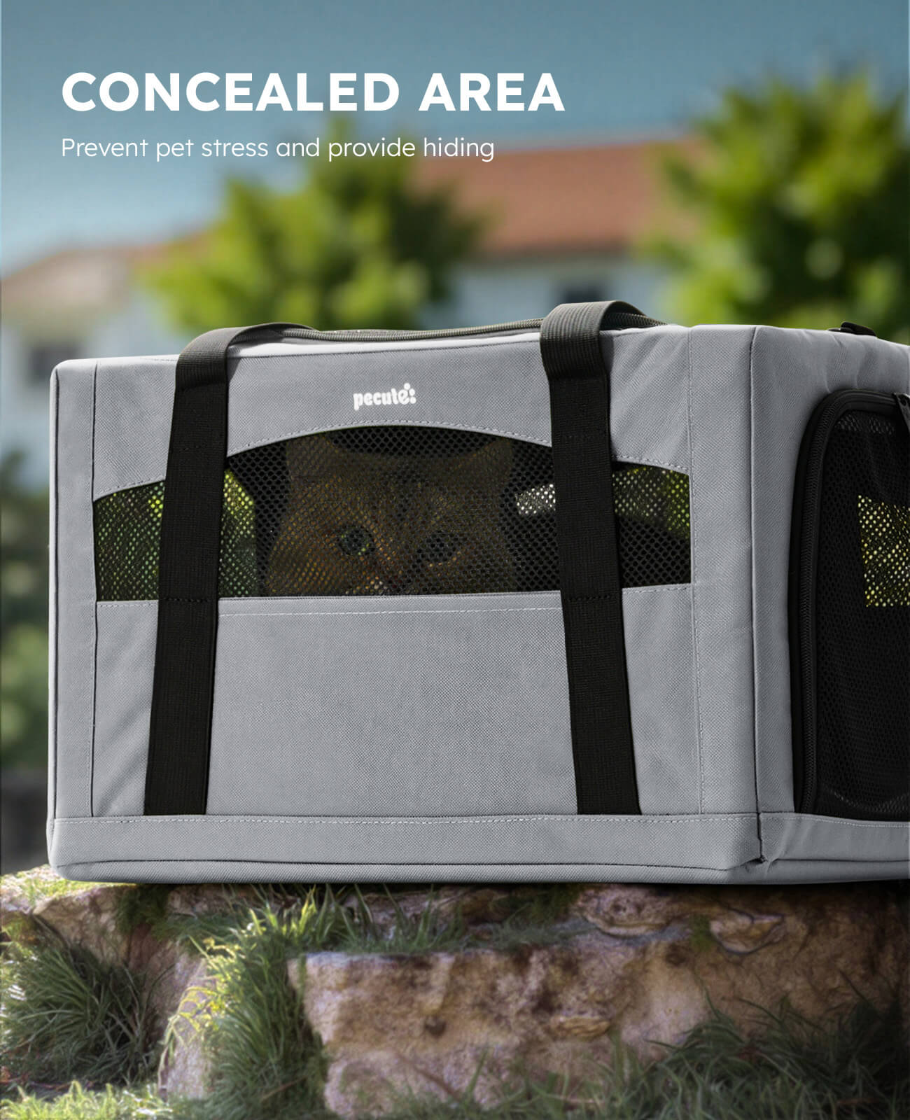 Pecute Cat Carrier Handbag Stable Breathable and Portable for Travel and Outing