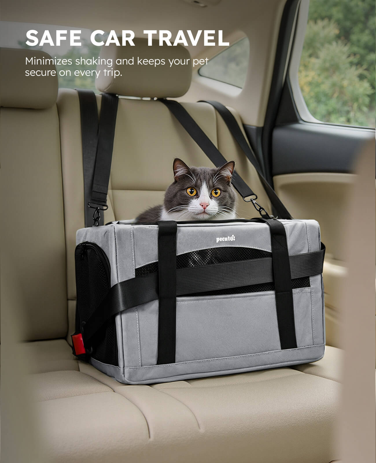 Pecute Cat Carrier Handbag Stable Breathable and Portable for Travel and Outing