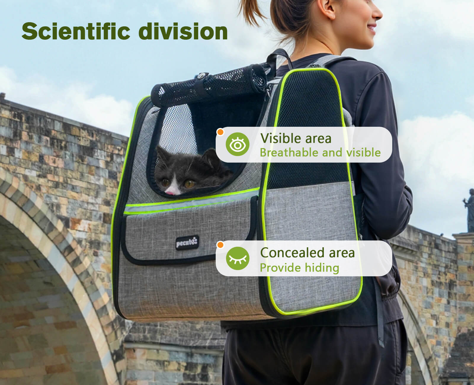 Pecute Expandable Cat Carrier Backpack Pet Carrier with Ventilated Mesh for Cats Dogs up to 11 lbs