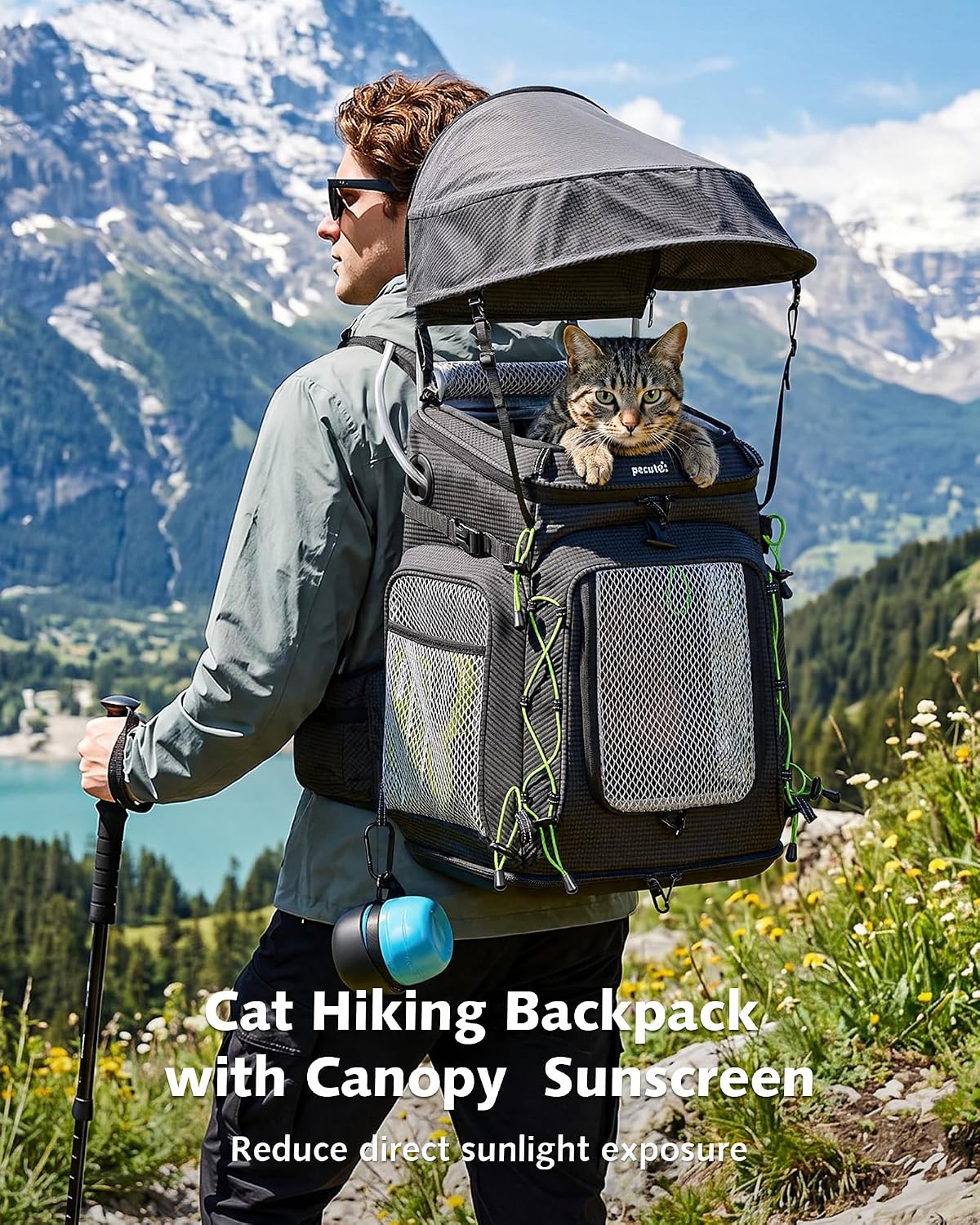 Pecute Travel Cat Backpack Carrier,Hiking Pet Backpack,Black,Up to 11 lbs