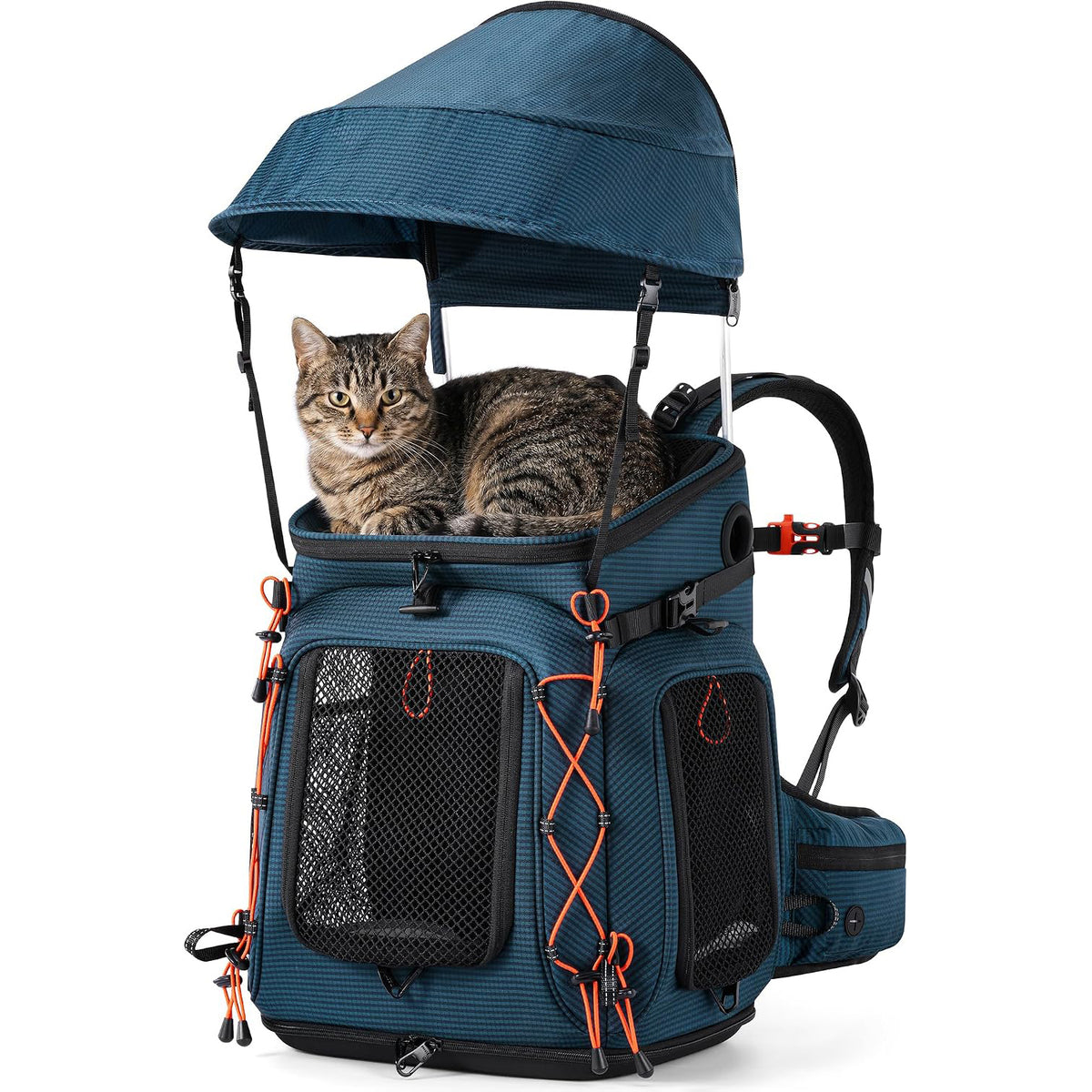 Pecute Travel Cat Backpack Carrier,Hiking Pet Backpack,Black,Up to 11 lbs