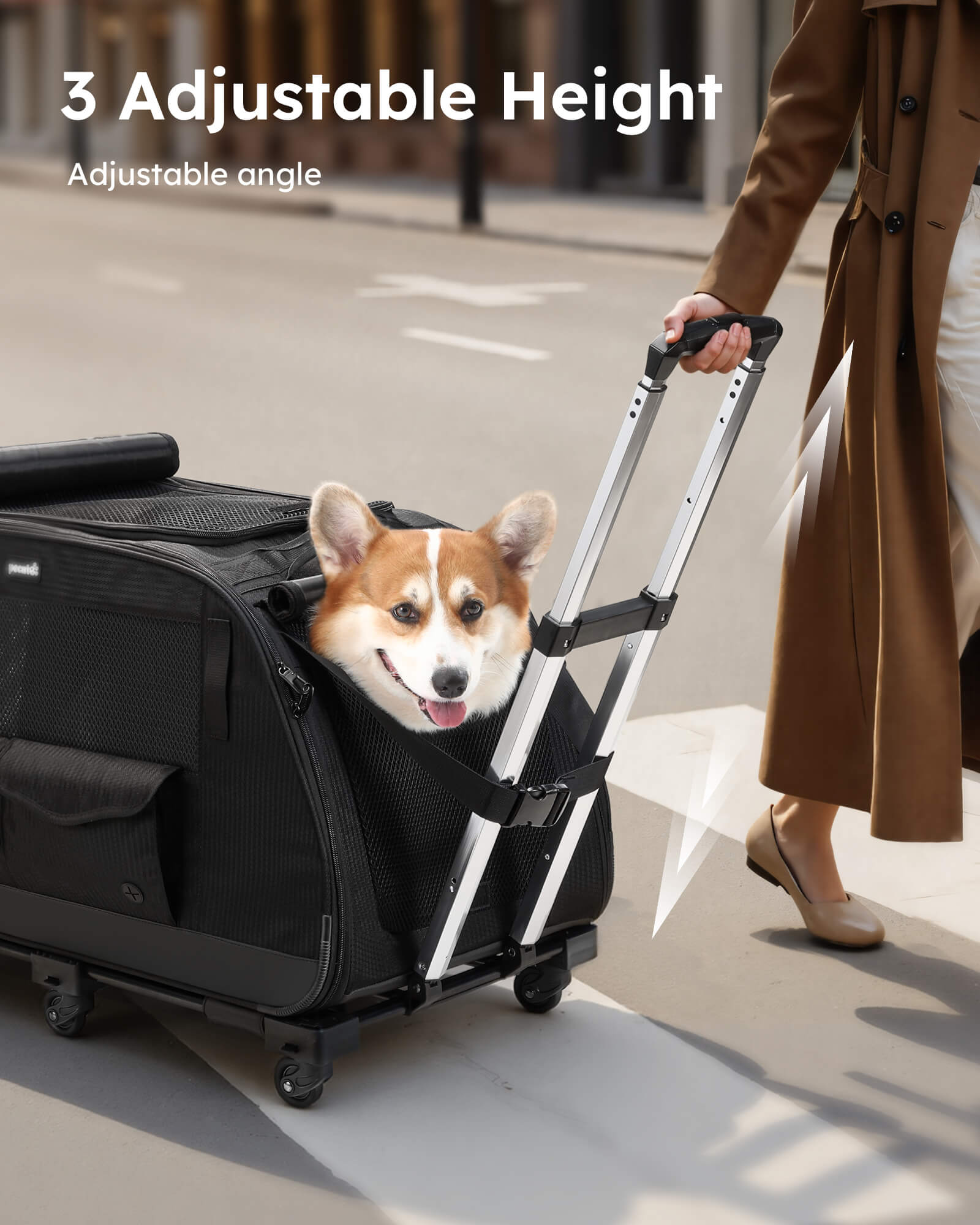 Pecute Pet Stroller for Short Legged Dogs Dog Carrier with Wheels for Dachshund, French Bulldog, Basset Hound, Corgi