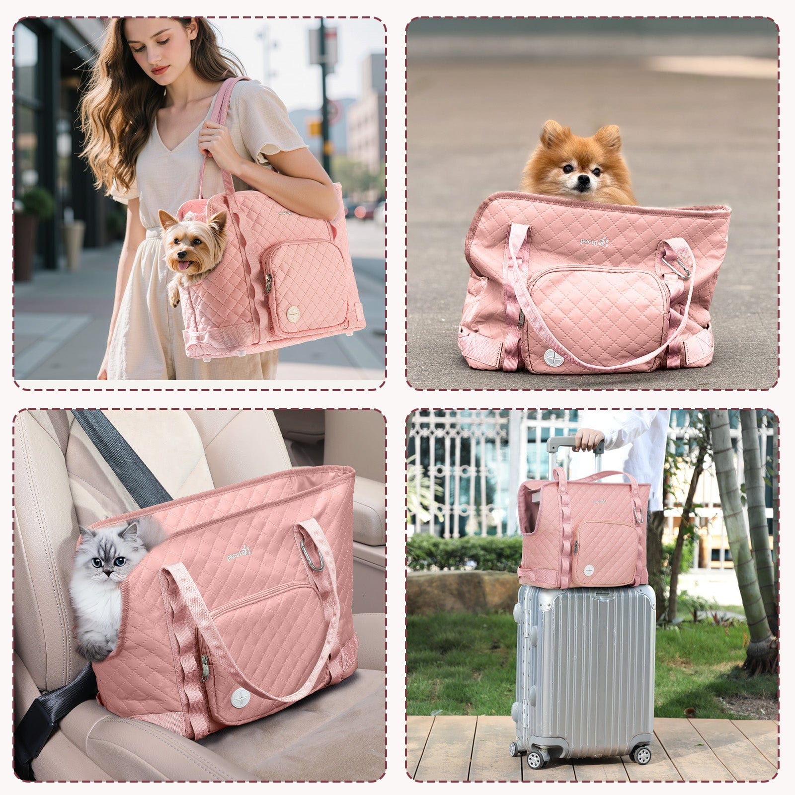 Carrier de bourse pour chiens pectaire léger pour les petits chiens