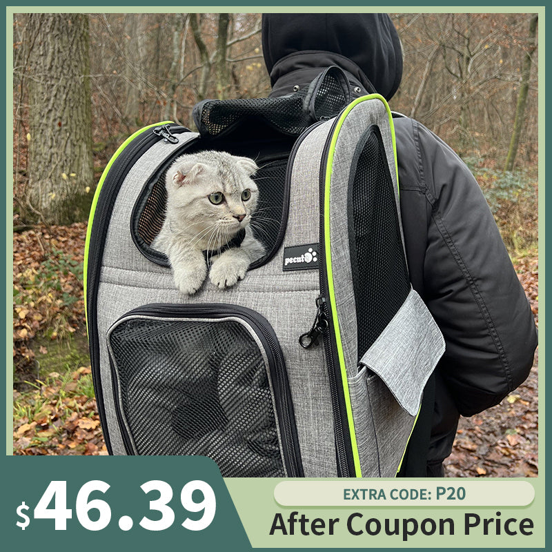 Cat Bag Best Cat Carrier For Hiking Cenadinz Pet Carrier Backpack