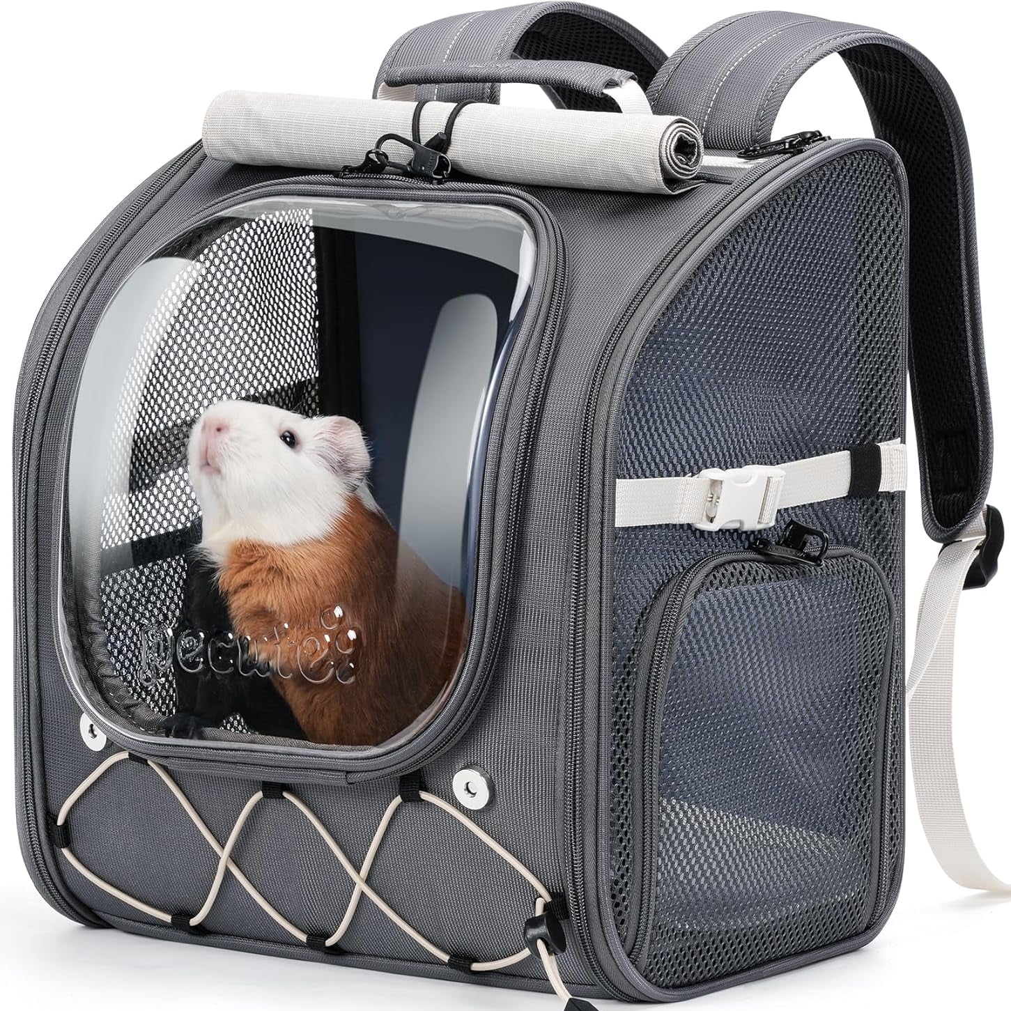 Pecute Small Pet Carrier Breathable Guinea Pig Carrier