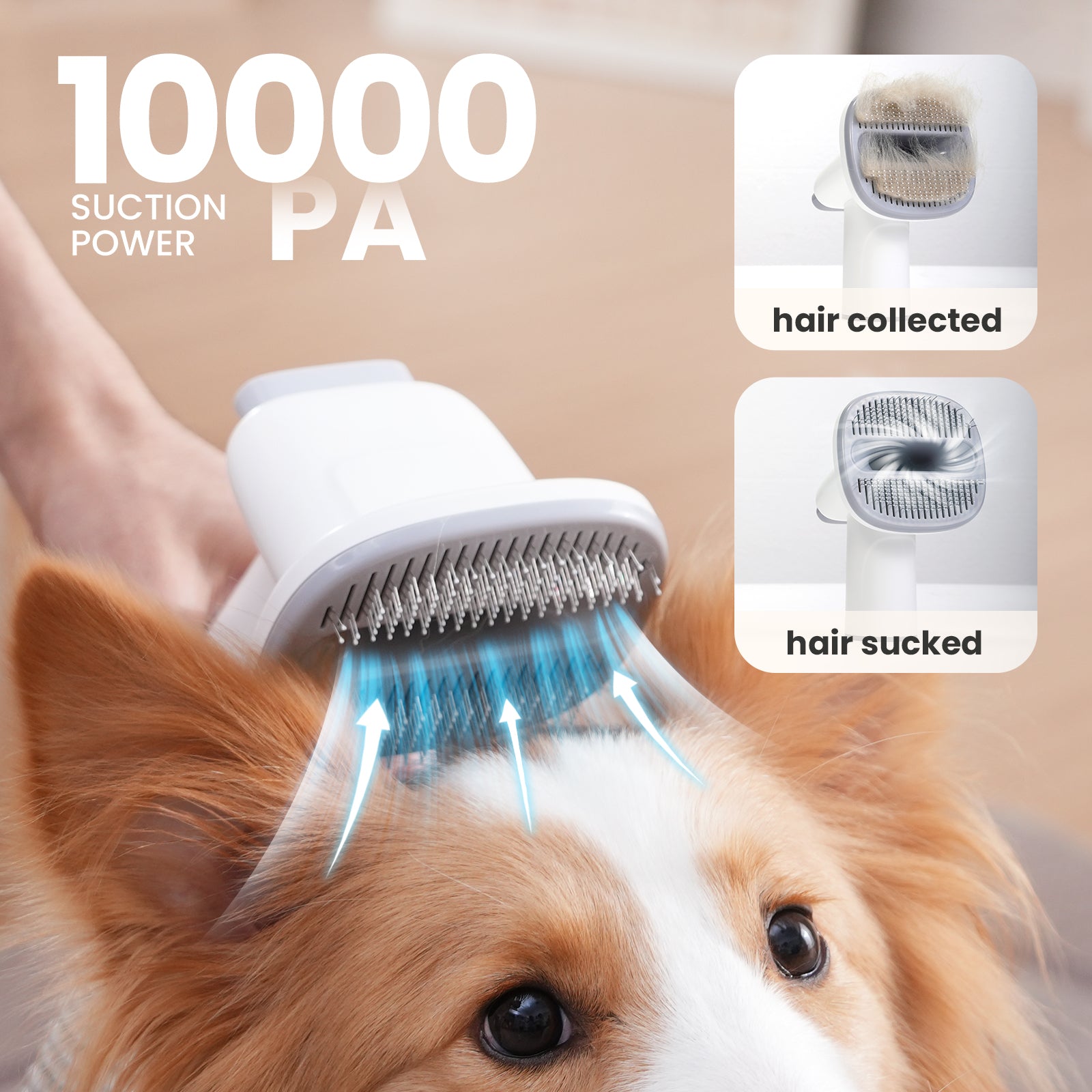 Pecute 7-in-1 Dog Grooming Vacuum&Dryer for Shedding Grooming