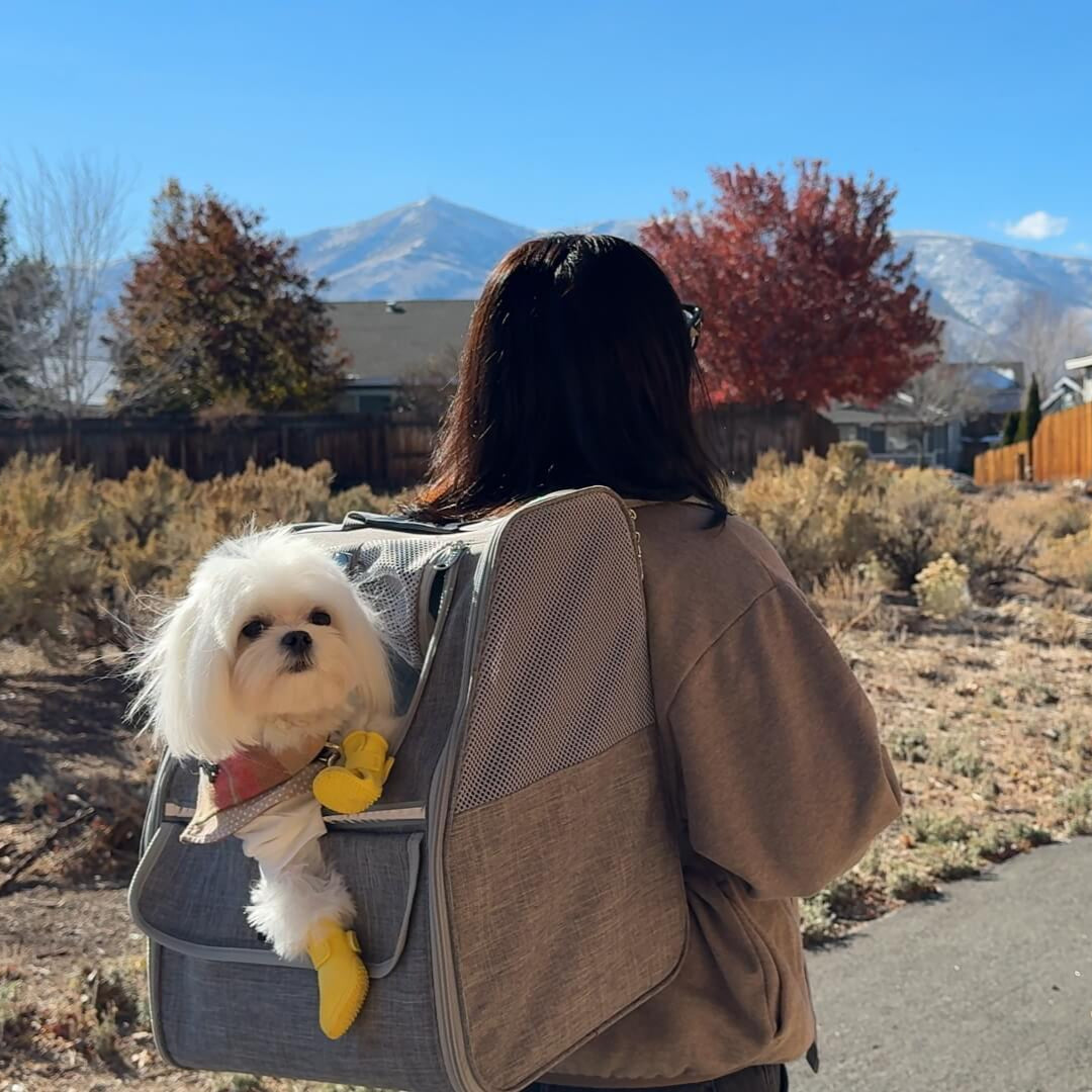 Pecute Trapezoidal Cat Carrier Pet Backpack