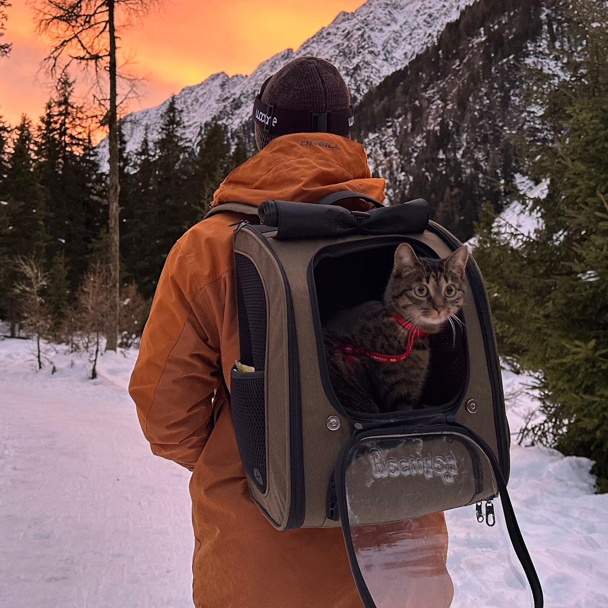 Pecute Expandable Bubble Cat Backpack Carrier Large Space Breathable Cat Carrier