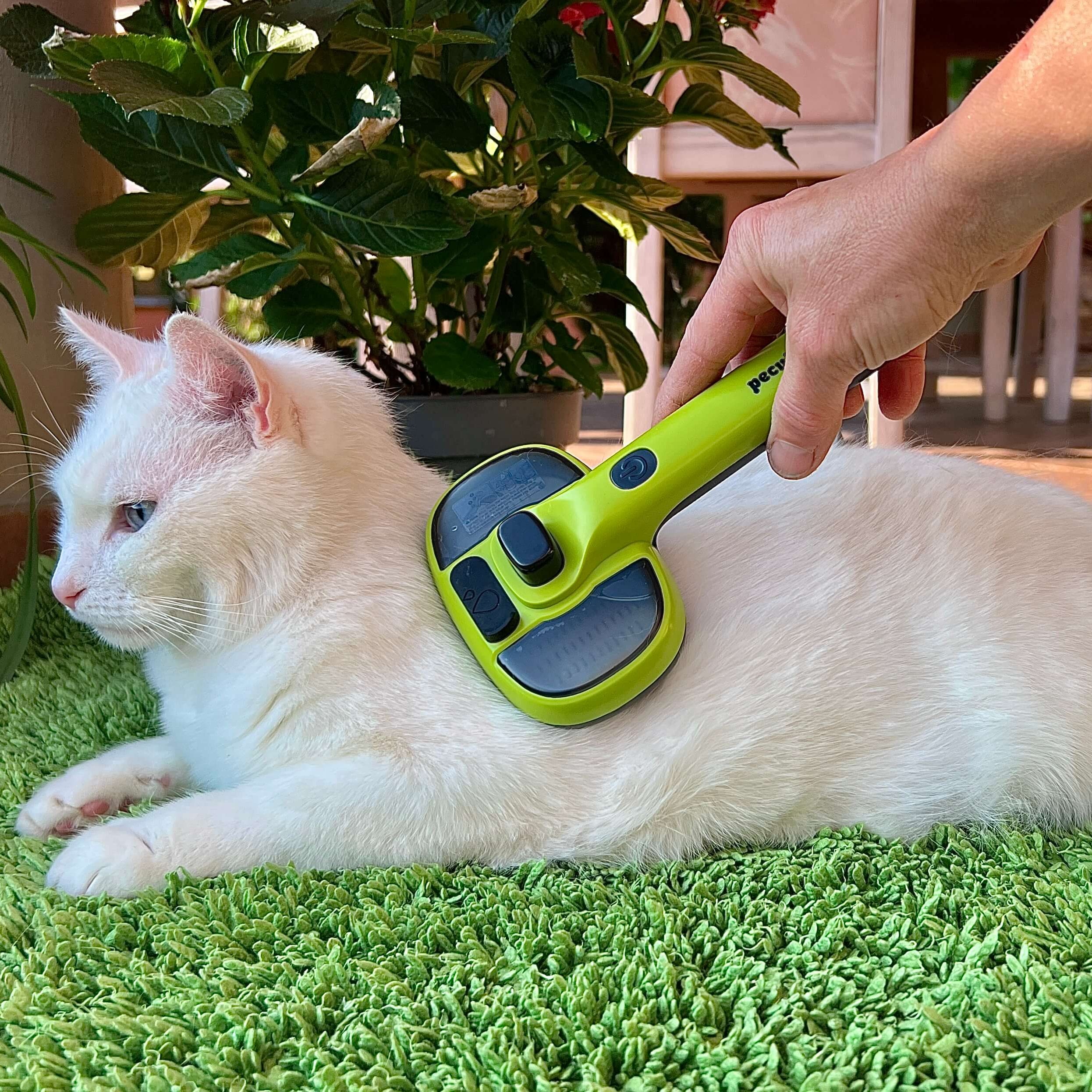 Pecute Steam Cat Brush Self-Cleaning Grooming with 2 Water Spray Modes