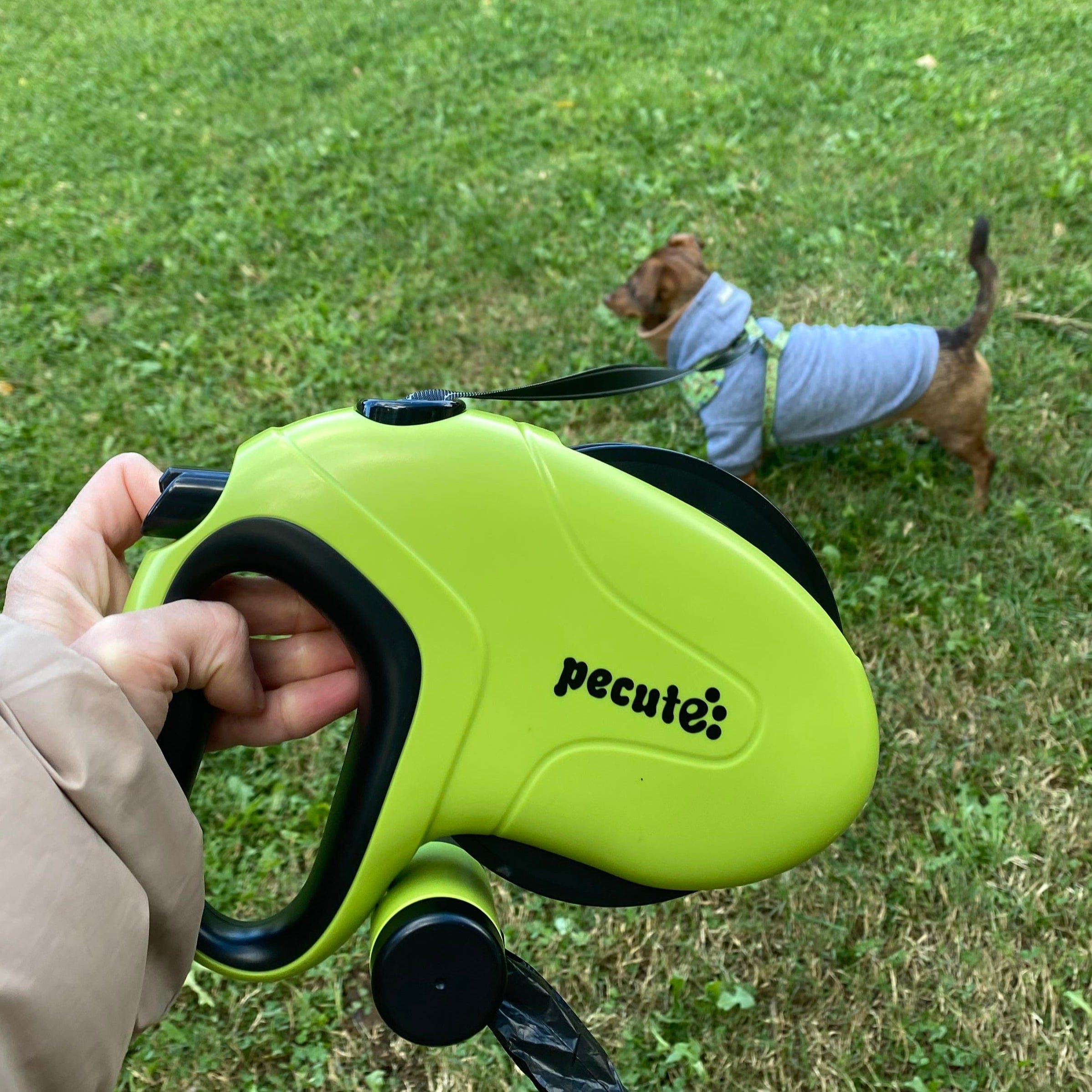 PEUTE 10m/32ft Laish pour chien rétractable avec des bandes réfléchissantes avec sac de merde