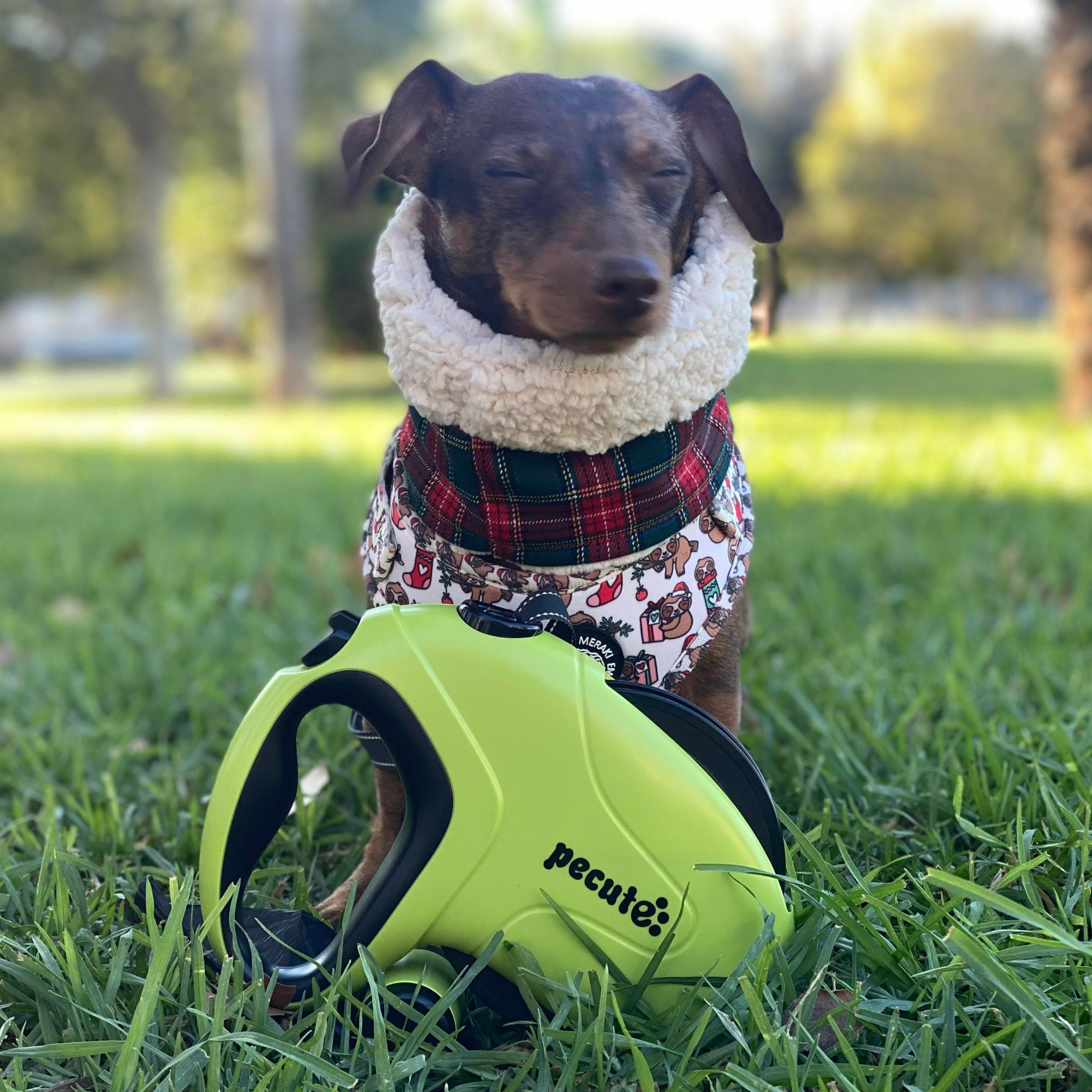 PEUTE 10m/32ft Laish pour chien rétractable avec des bandes réfléchissantes avec sac de merde