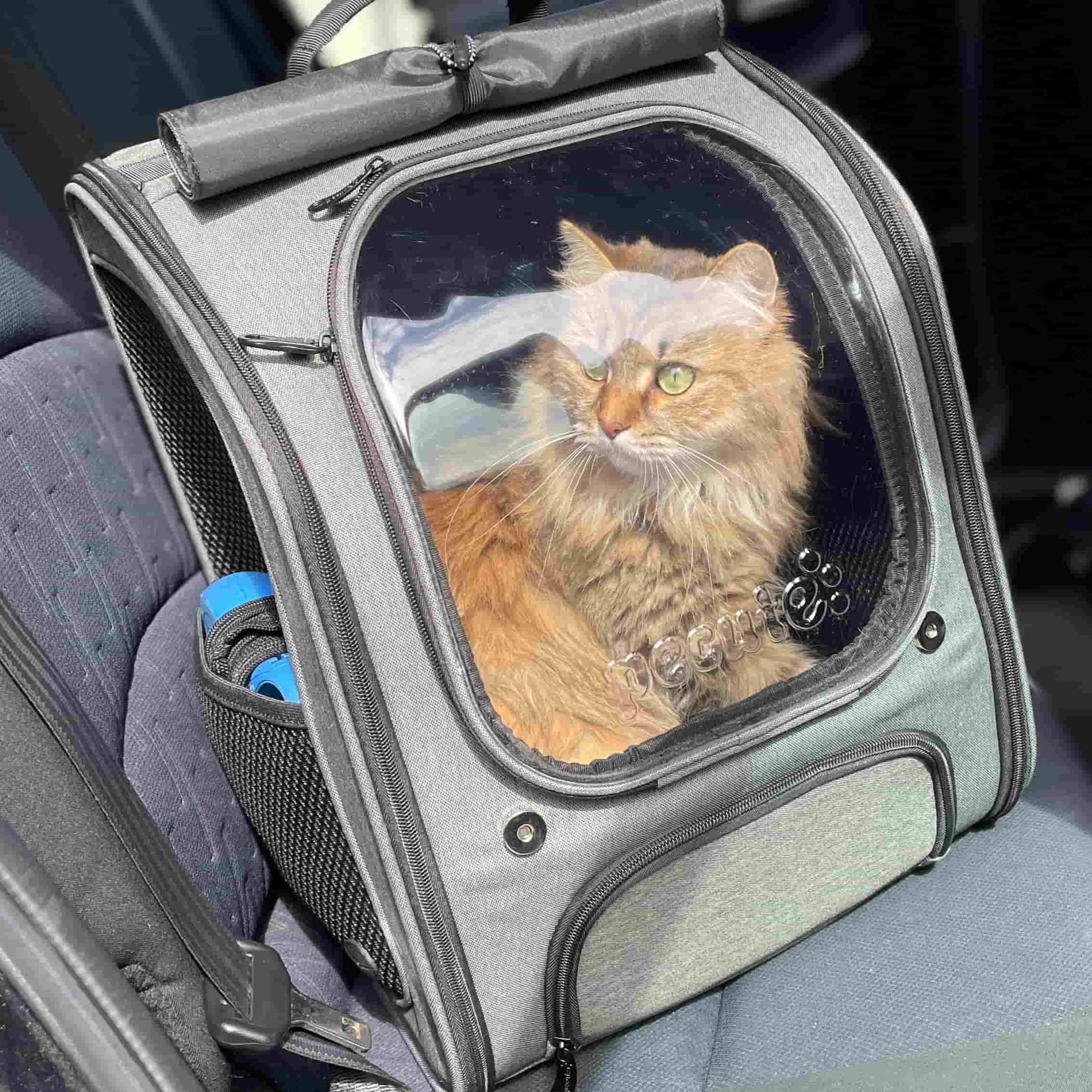 Pecute Bubble Cat Backpack Carrier Large Space Ergonomic 3D Design Breathable & Shaded