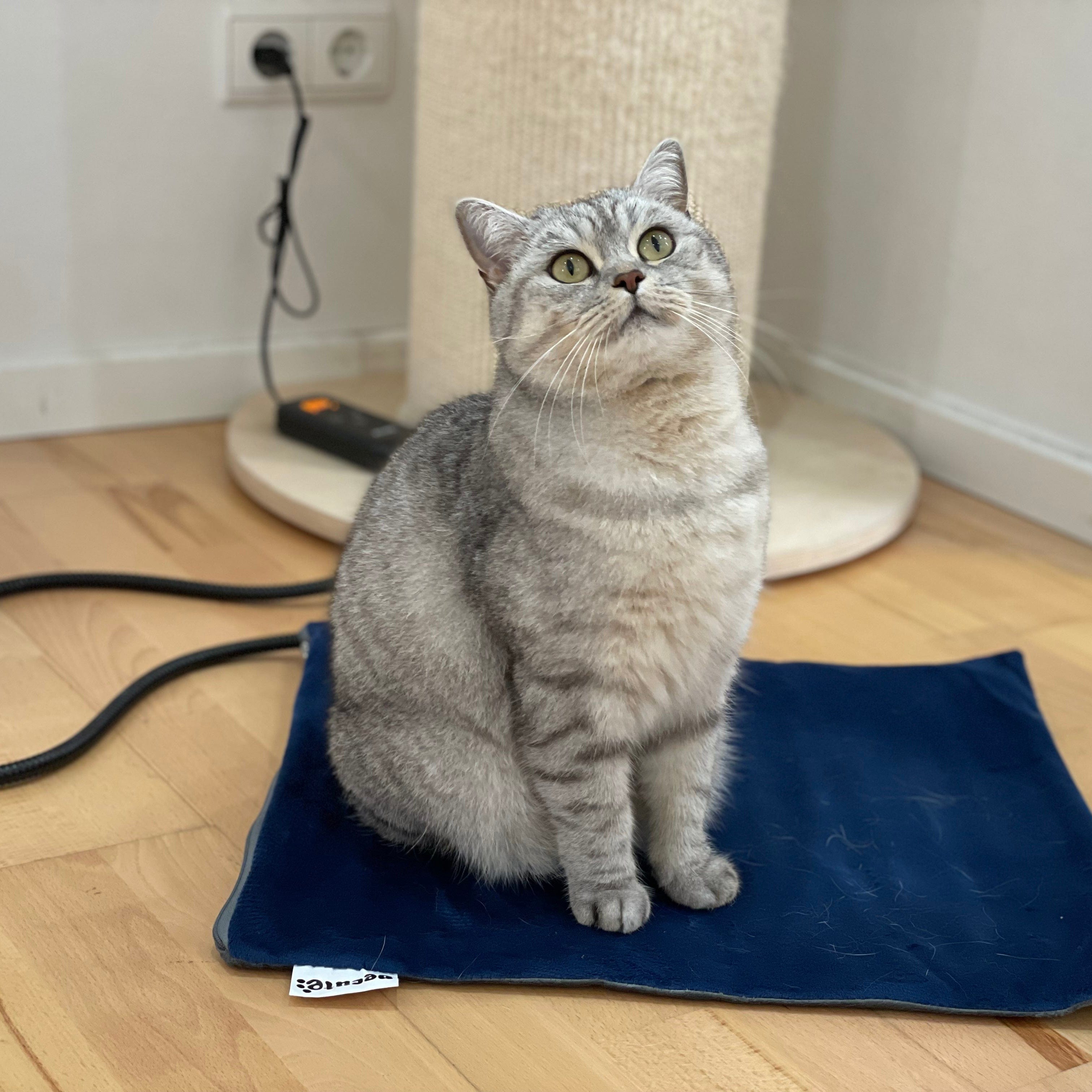 Cuscinetto riscaldante per animali domestici Pecute 6 Temperatura regolabile con timer